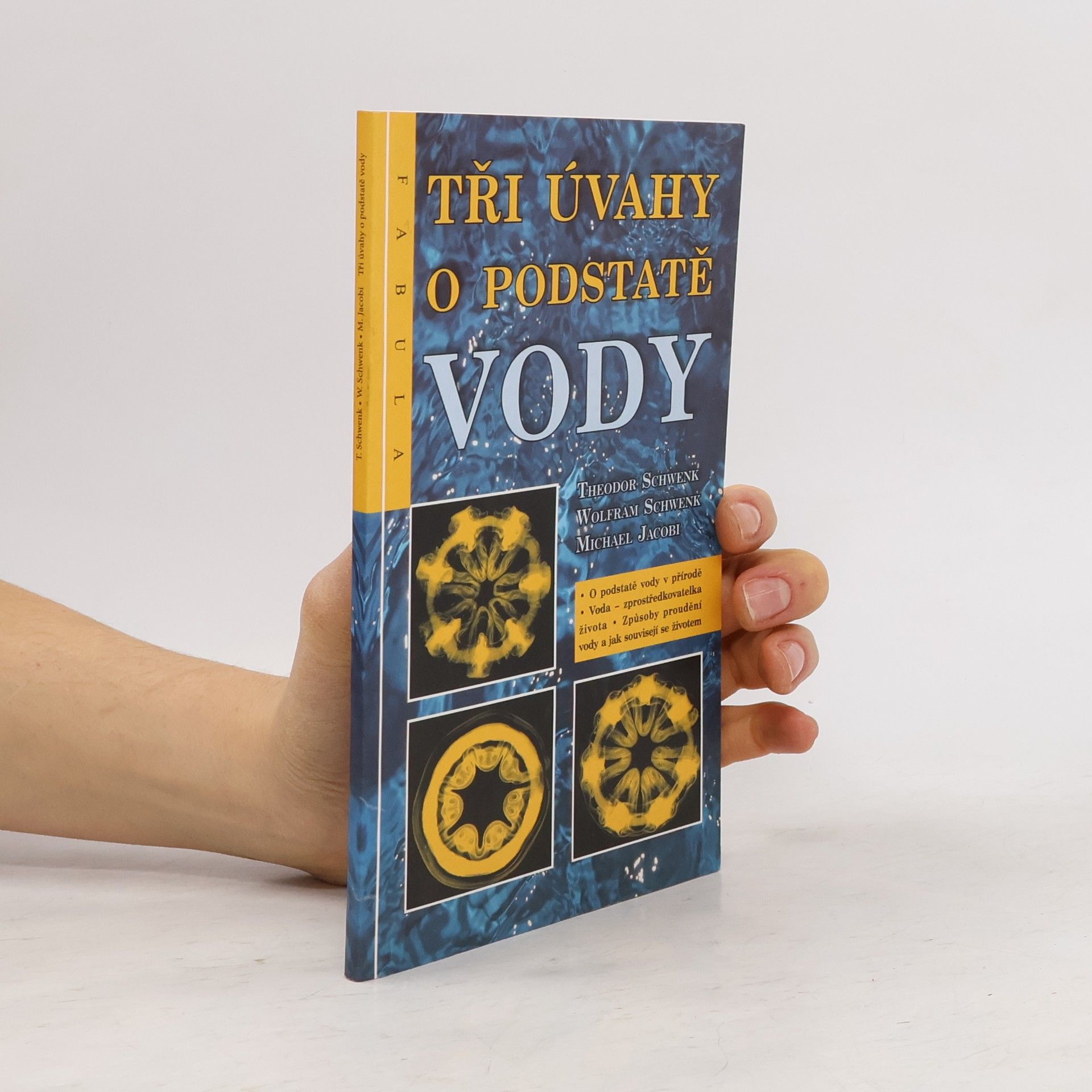 Theodor Schwenk Tři úvahy o podstatě vody