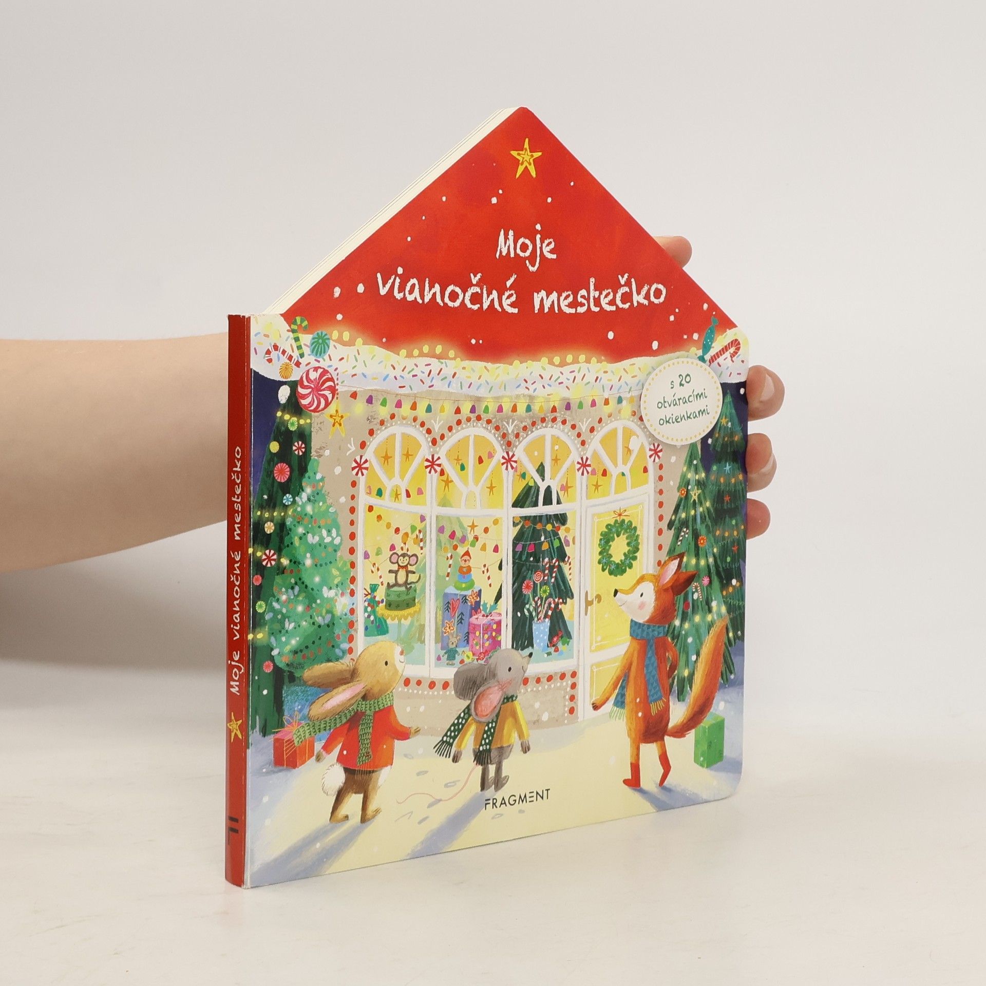 Madlen Ottenschläger Moje vianočné mestečko