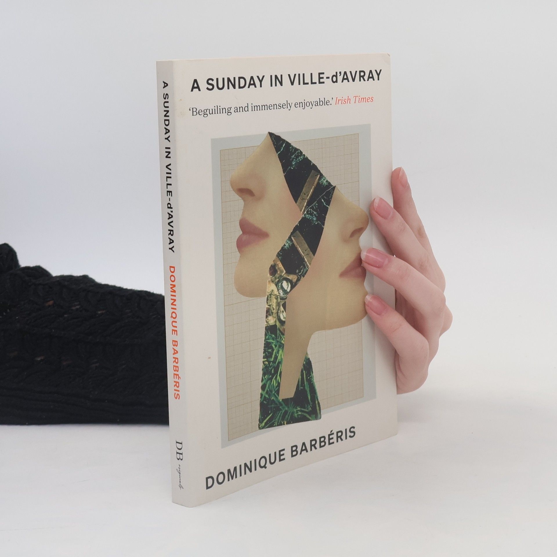 Dominique Barbéris A Sunday in Ville d'Avray