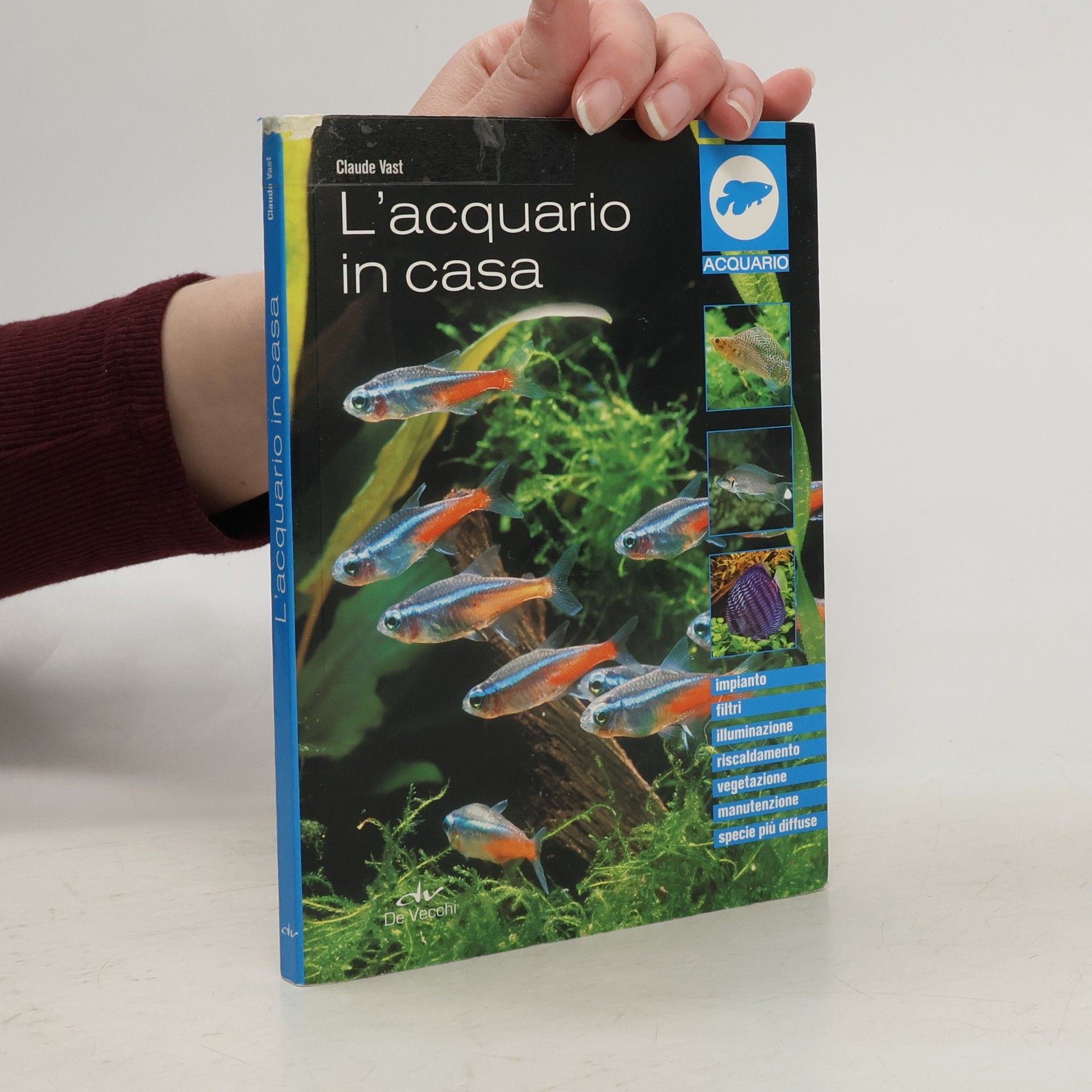 L'acquario in casa
