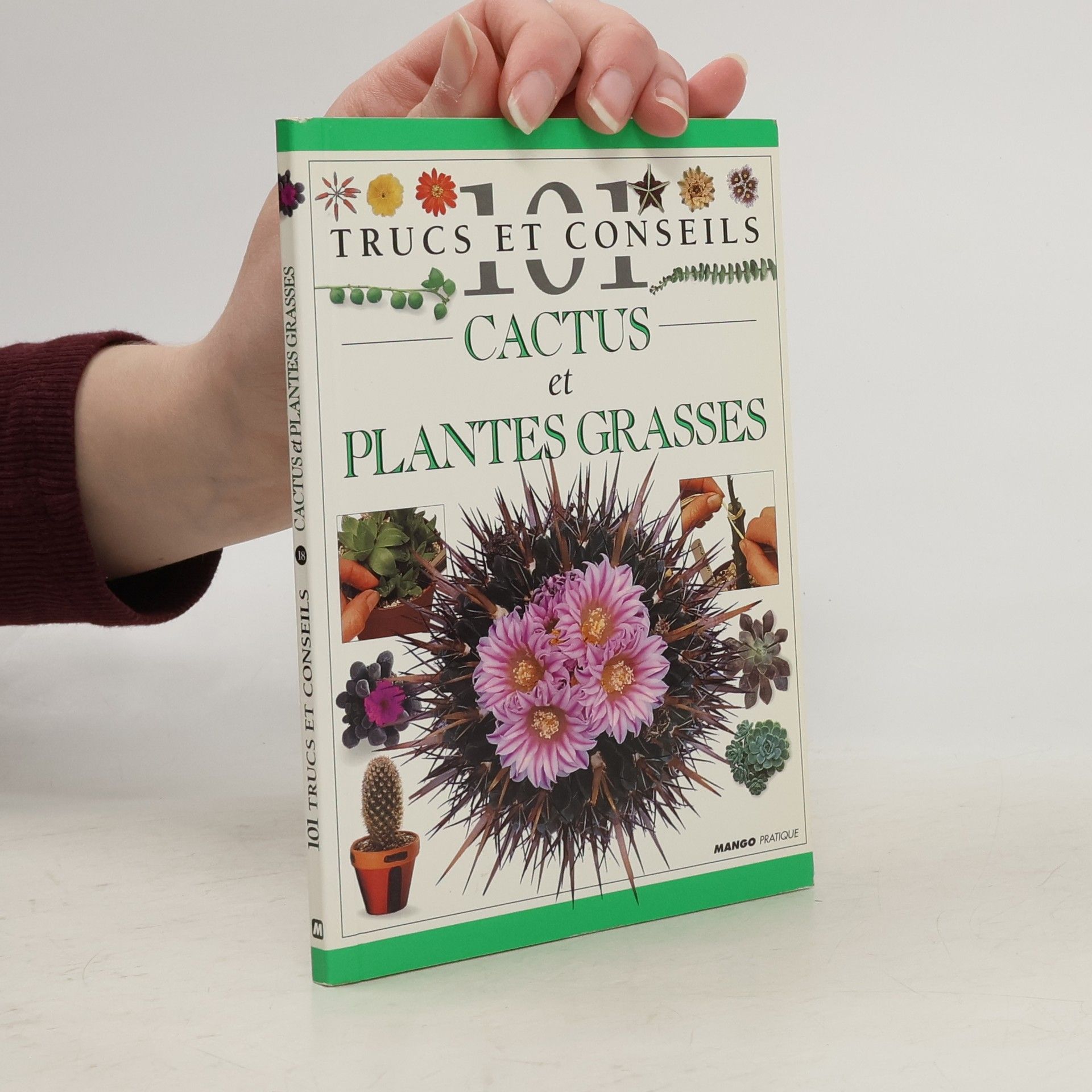 Terry Hewitt Cactus et plantes grasses