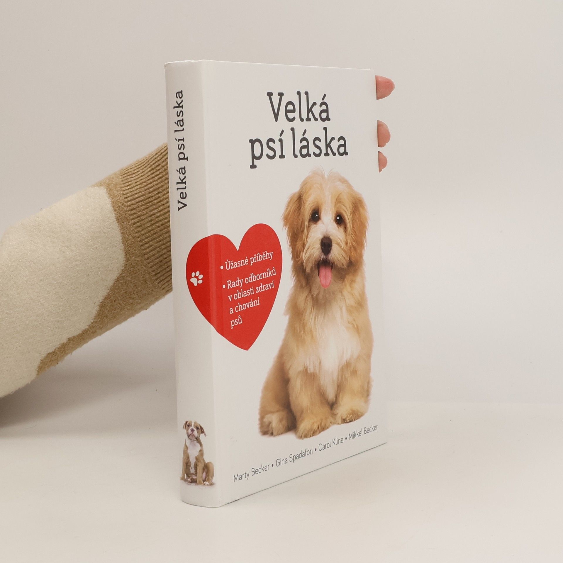 Marty Becker Velká psí láska: Příběhy, rady a úžasné fotografie psích bytostí