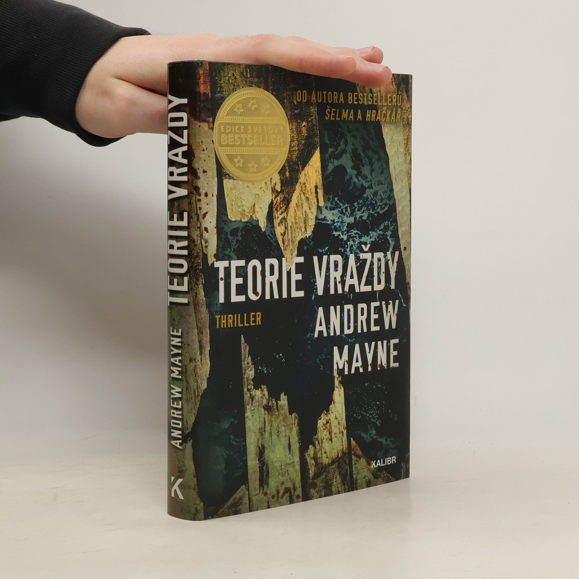 Andrew Mayne Teorie vraždy