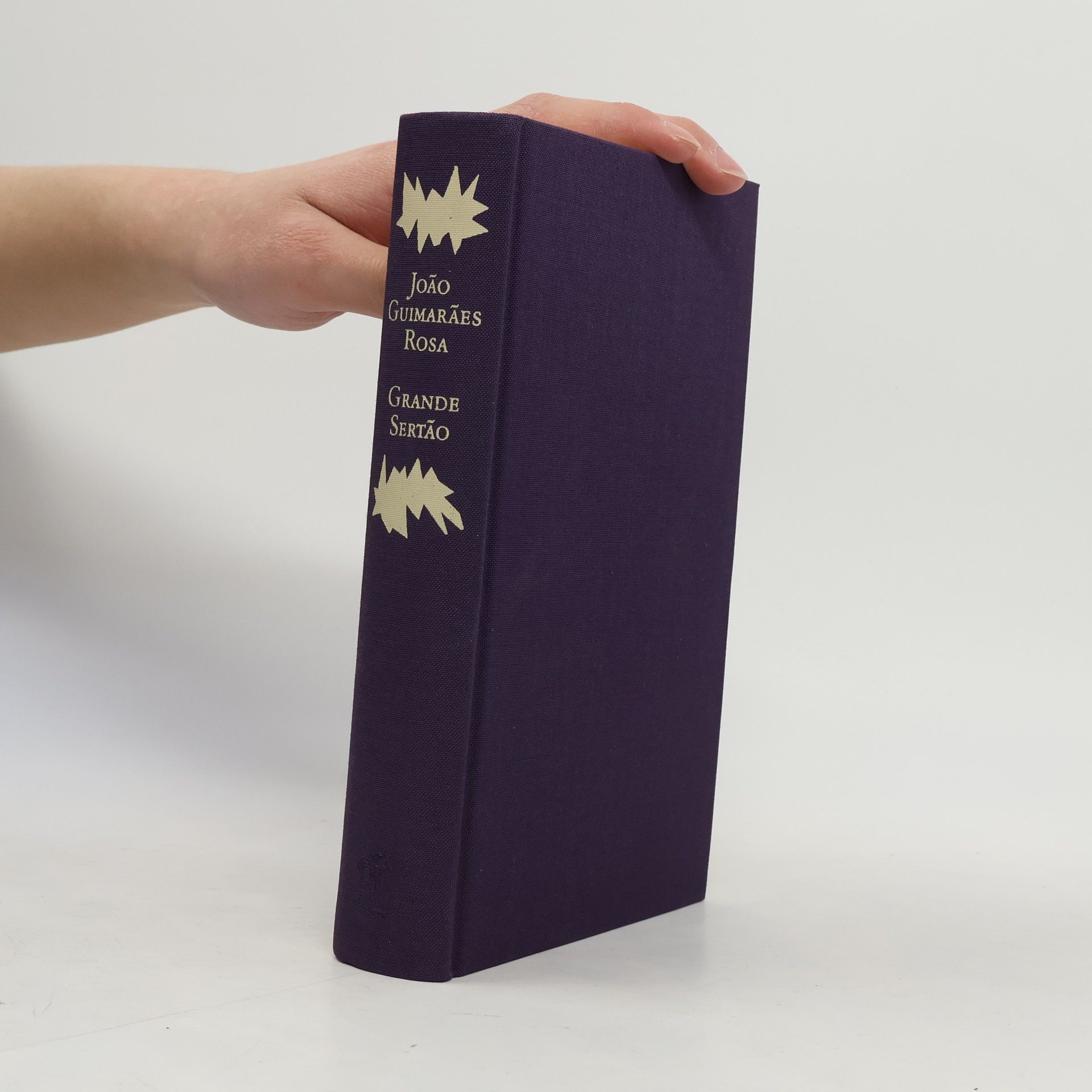 Guimarães Rosa Grande Sertão