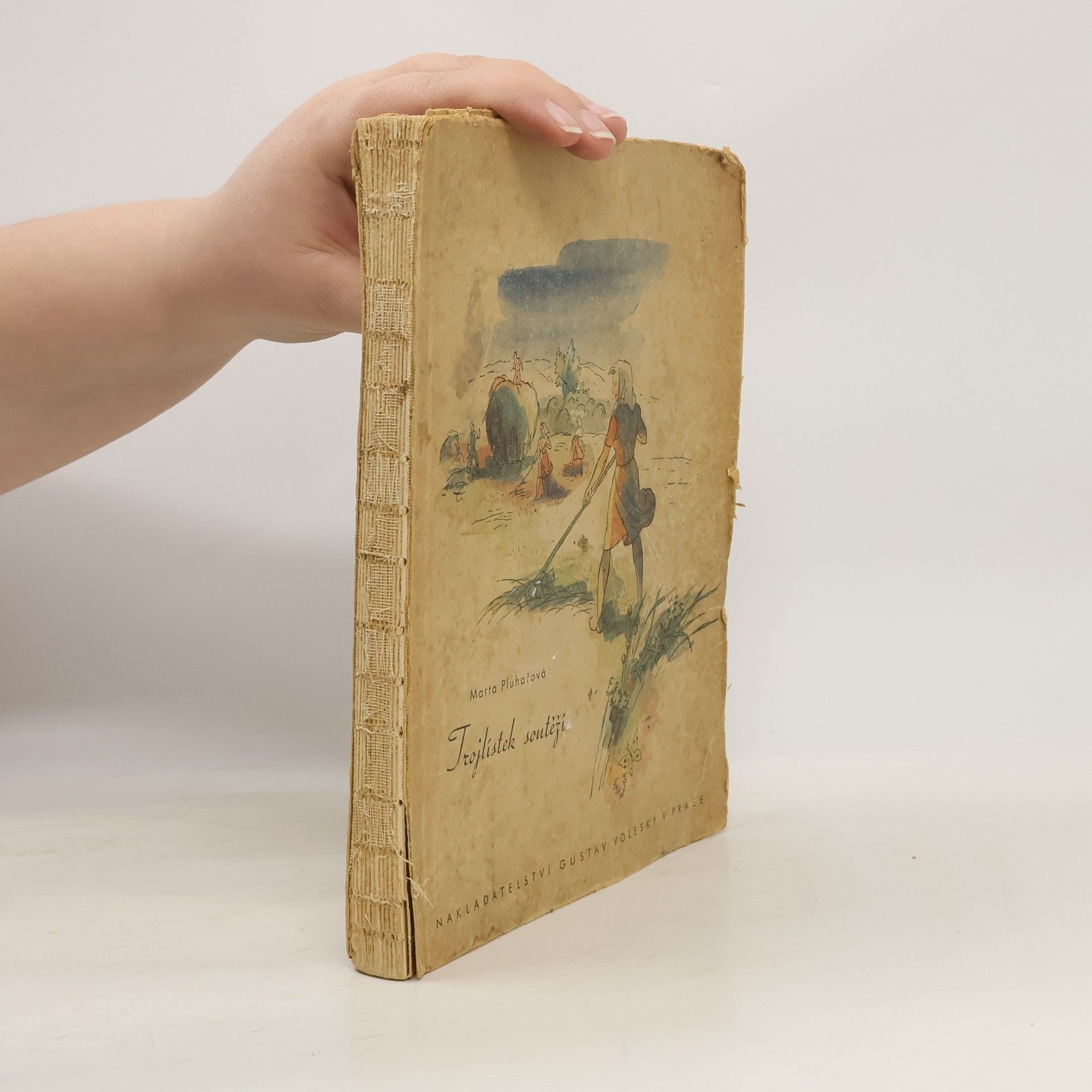 Pluhařová Marta Trojlístek soutěží