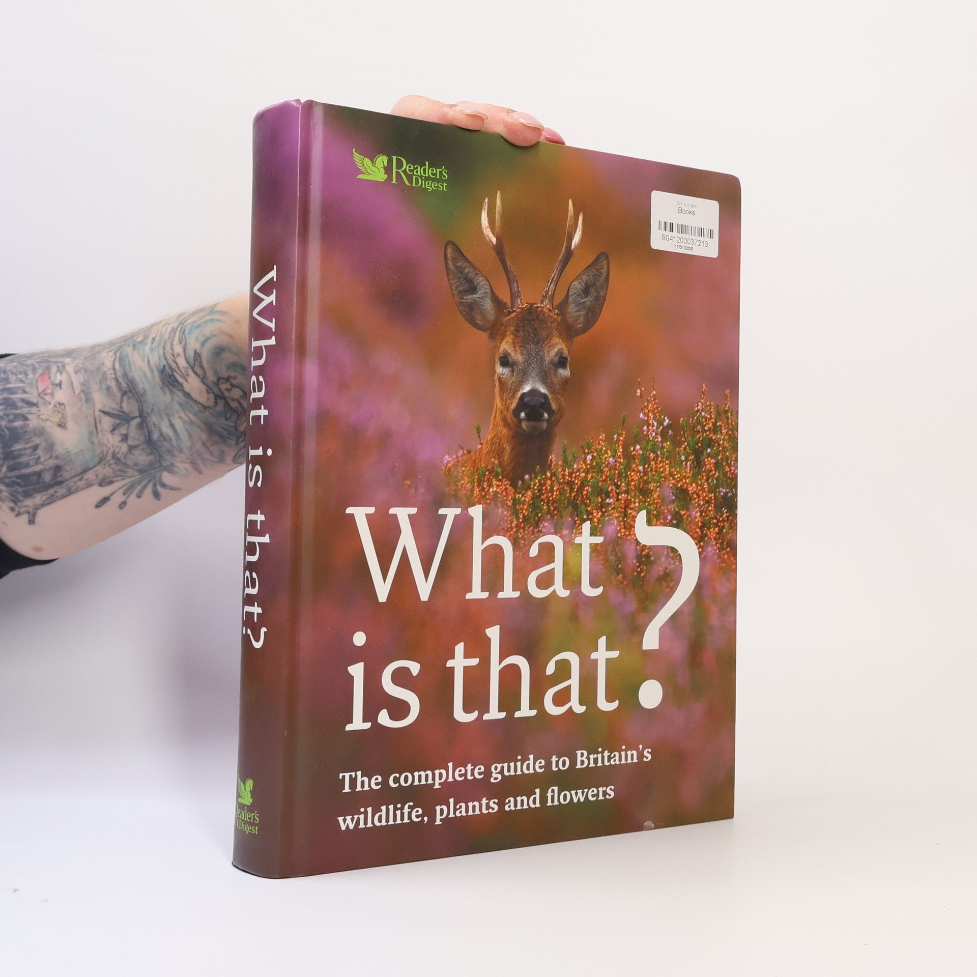 Paul Sterry What Is That?