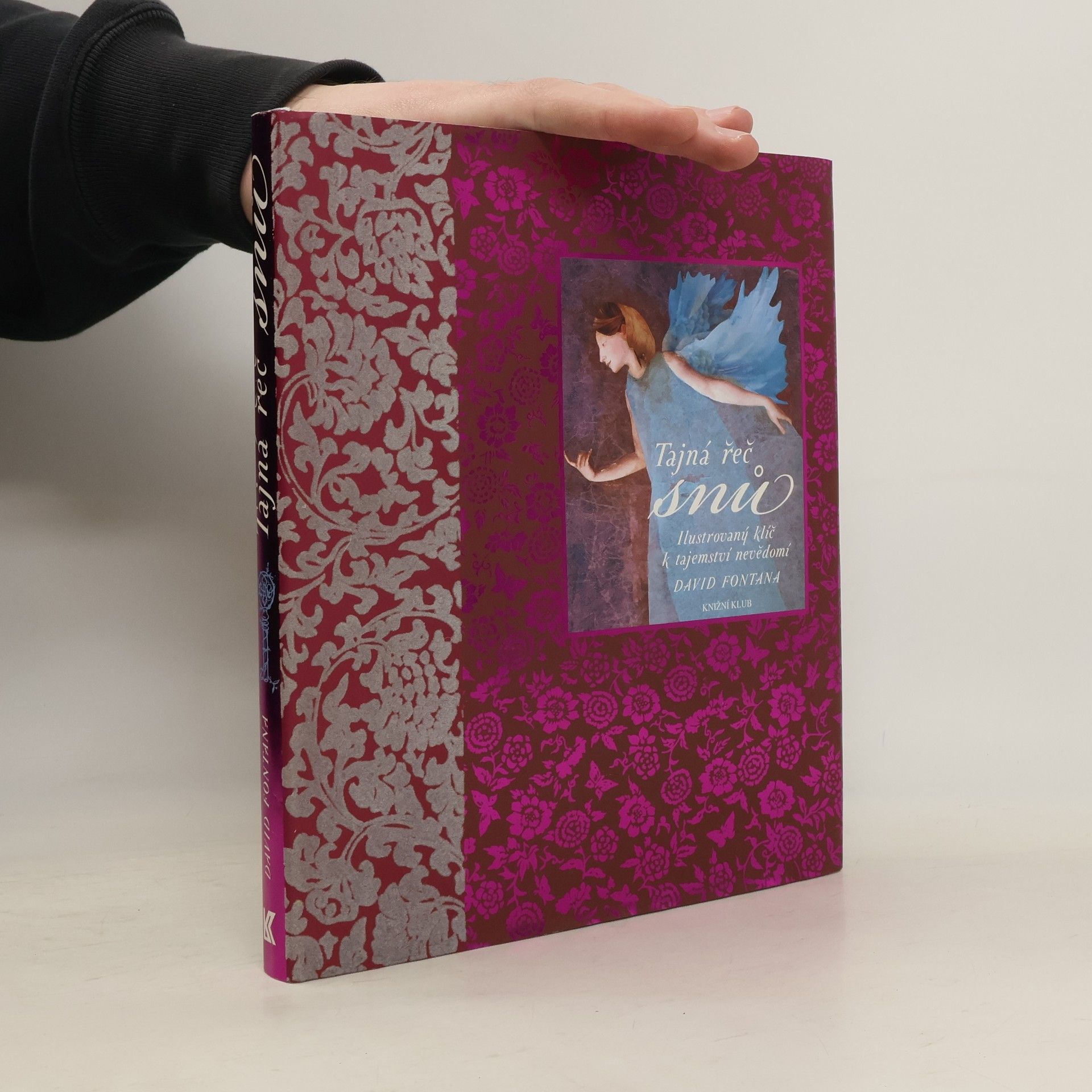 David Fontana Tajná řeč snů