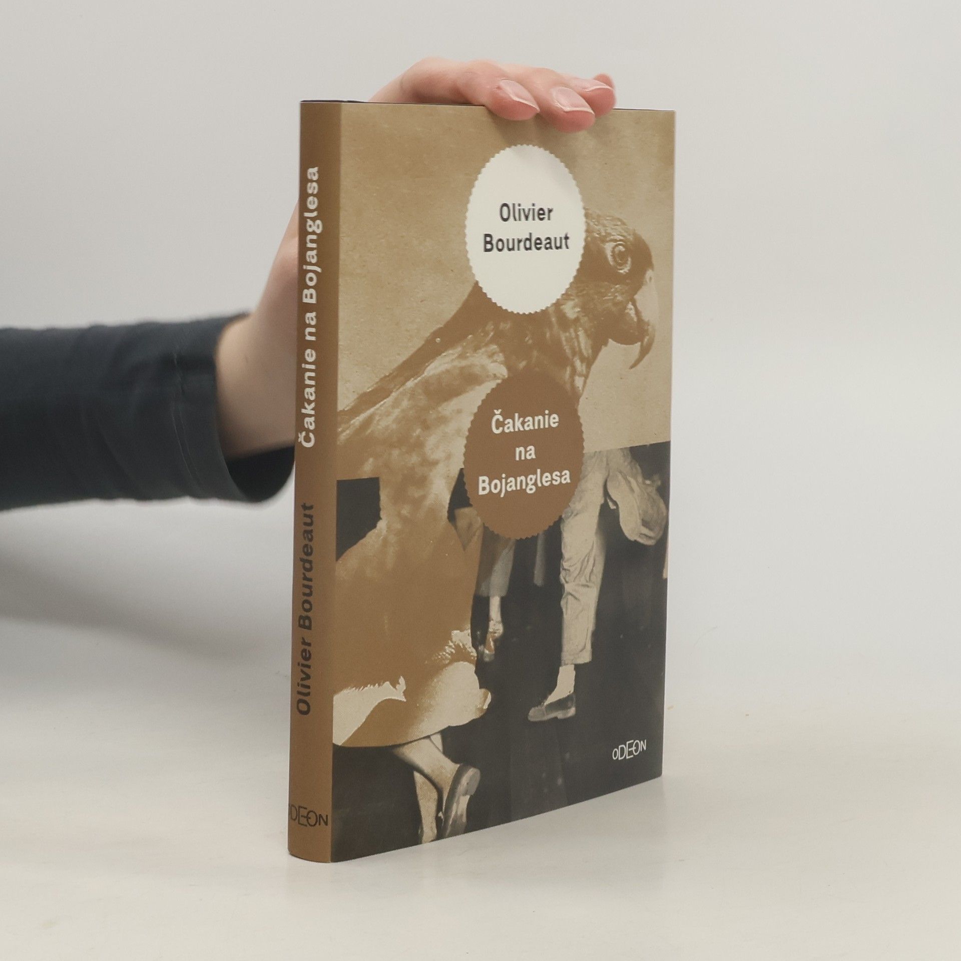 Olivier Bourdeaut Čakanie na Bojanglesa