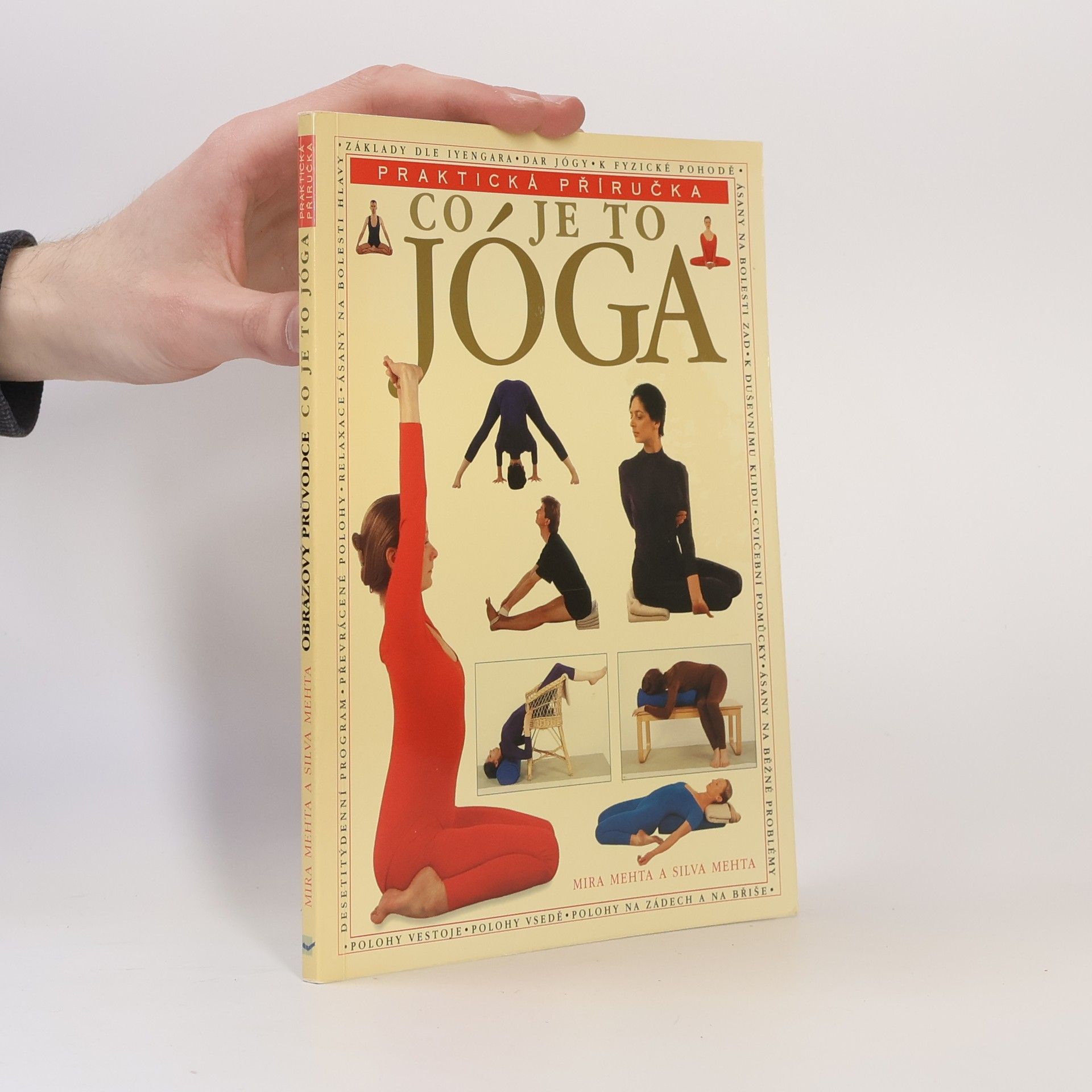 Mehta Mira Co je to jóga. Praktická příručka