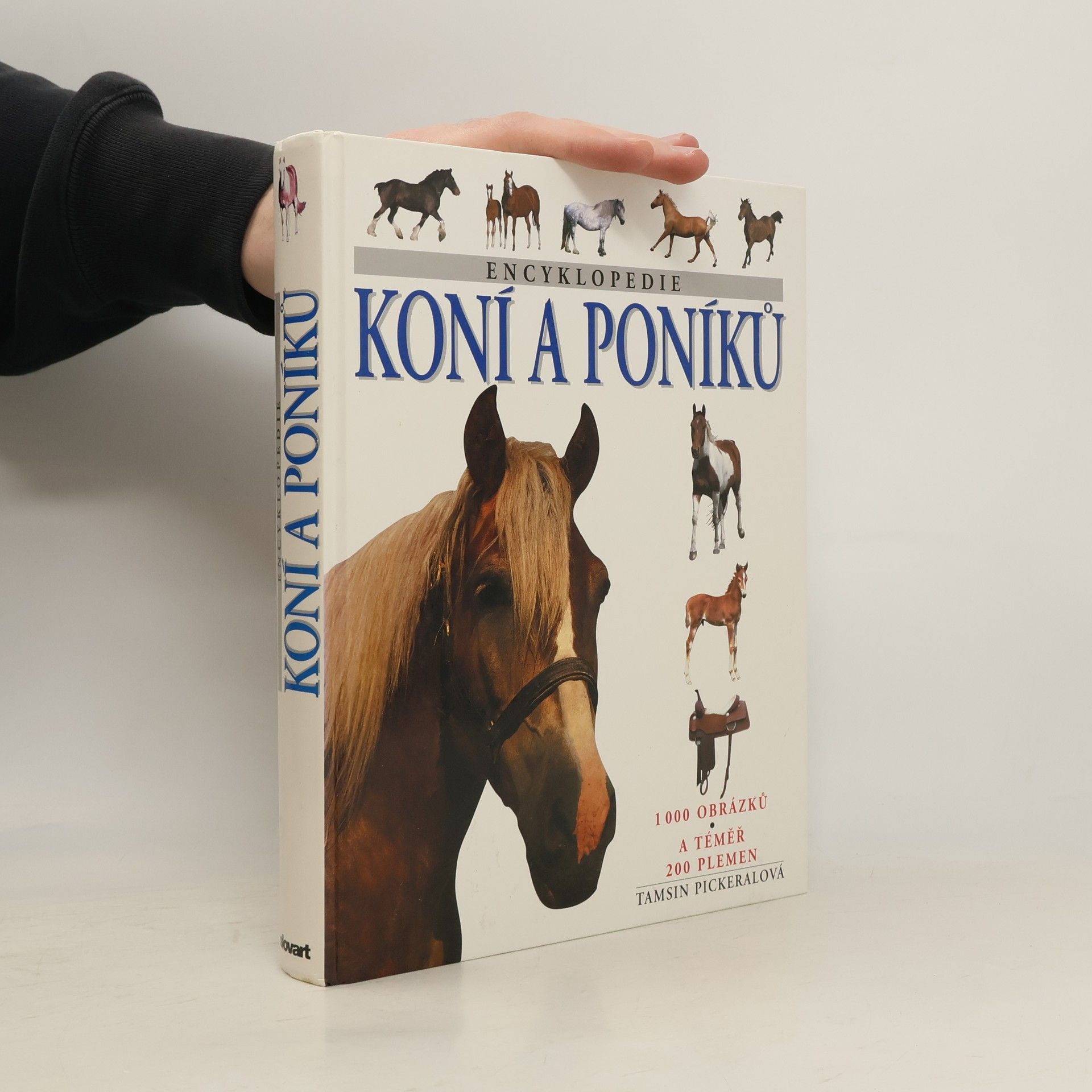 Tamsin Pickeral Encyklopedie koní a poníků