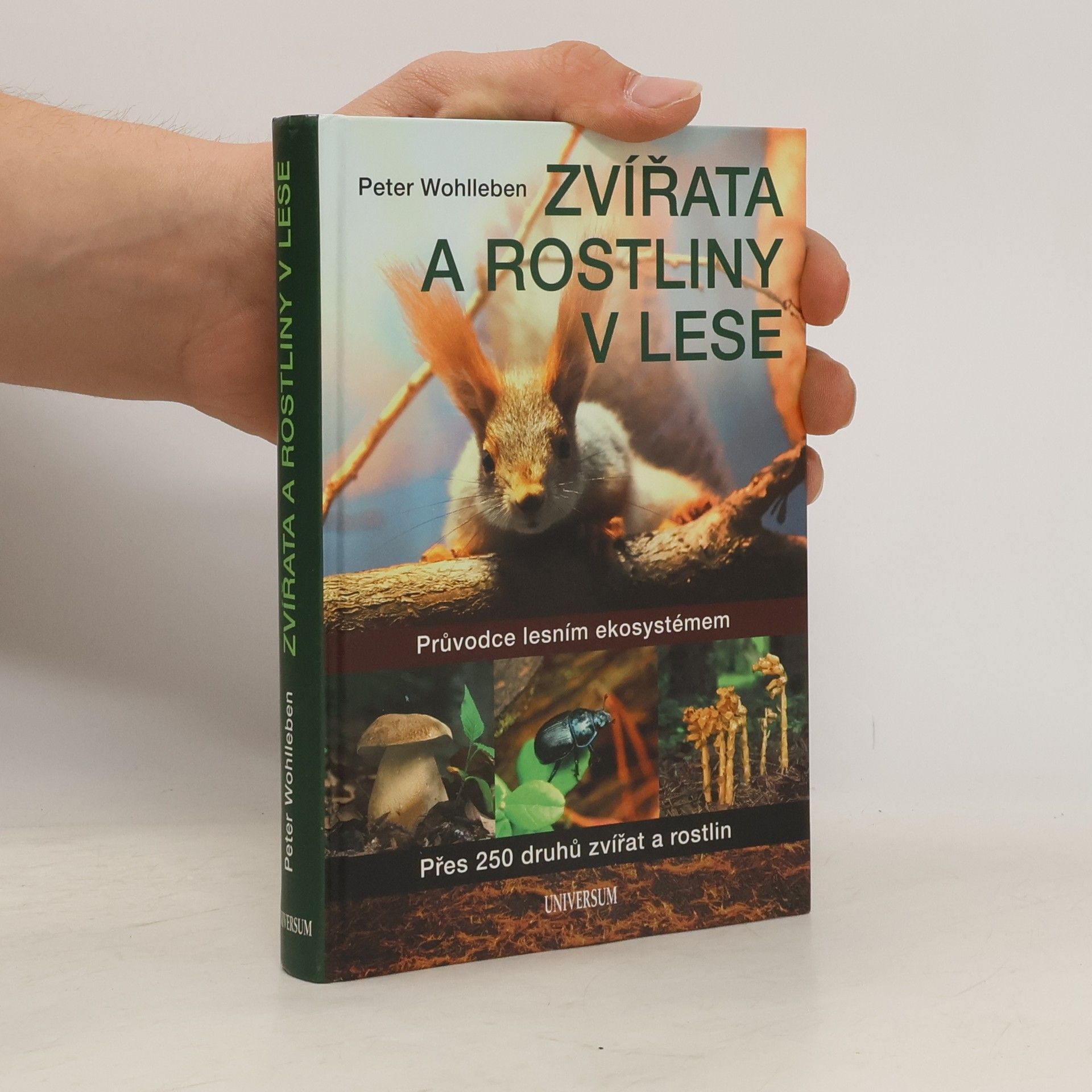 Peter Wohlleben Zvířata a rostliny v lese : průvodce lesním ekosystémem : přes 250 druhů zvířat a rostlin
