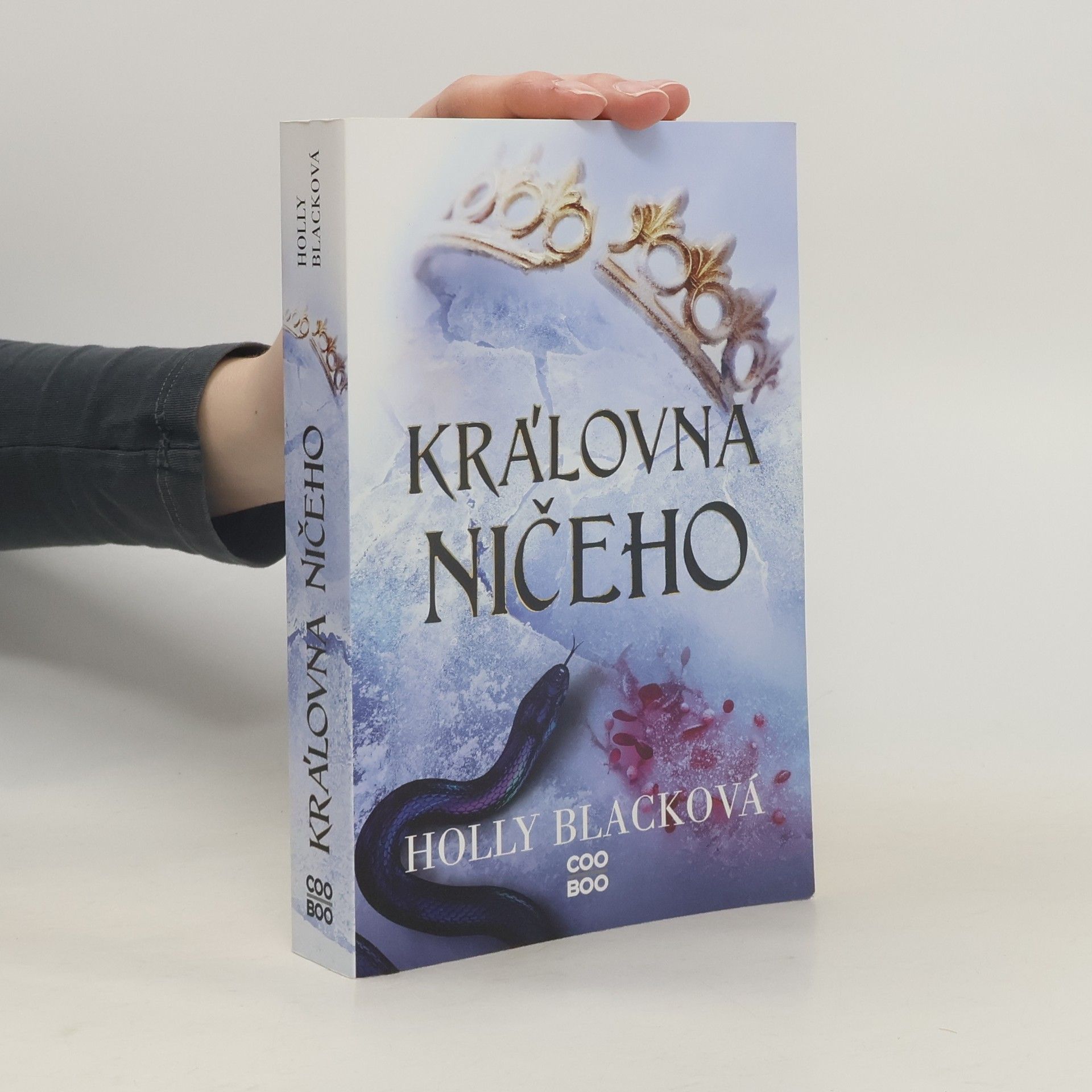 Holly Black Královna ničeho