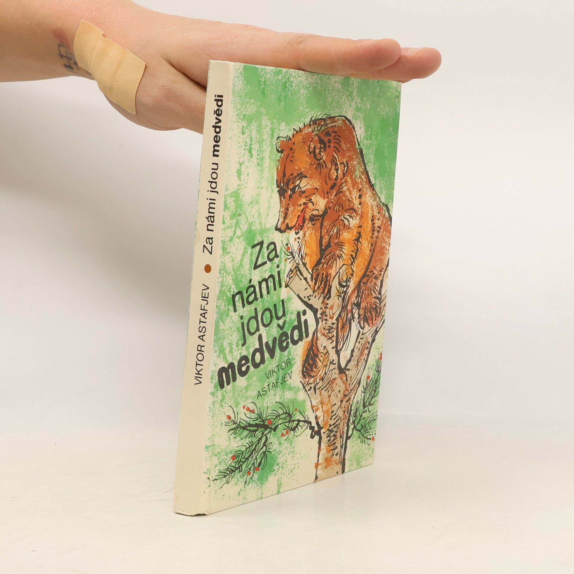 Viktor Petrovič Astafjev Za námi jdou medvědi