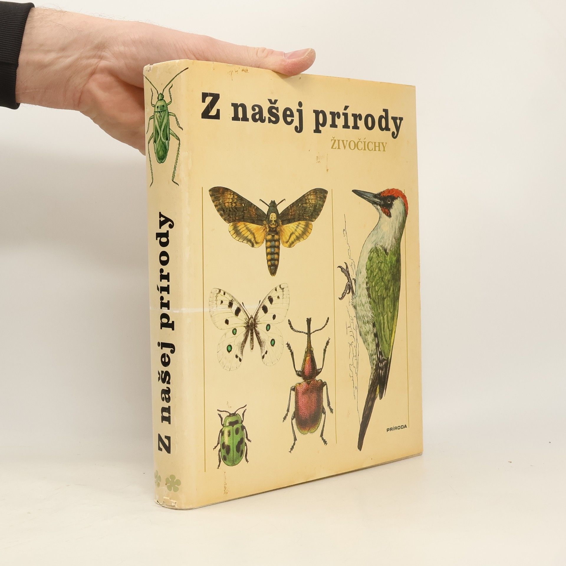 Jindřich Krejča Z našej prírody. Živočíchy