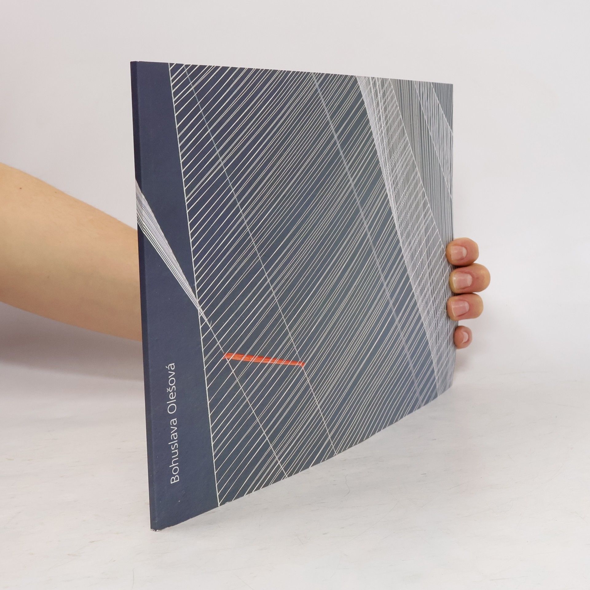 Bohuslava Olešová Princip neurčitosti. The principle of indefiniteness