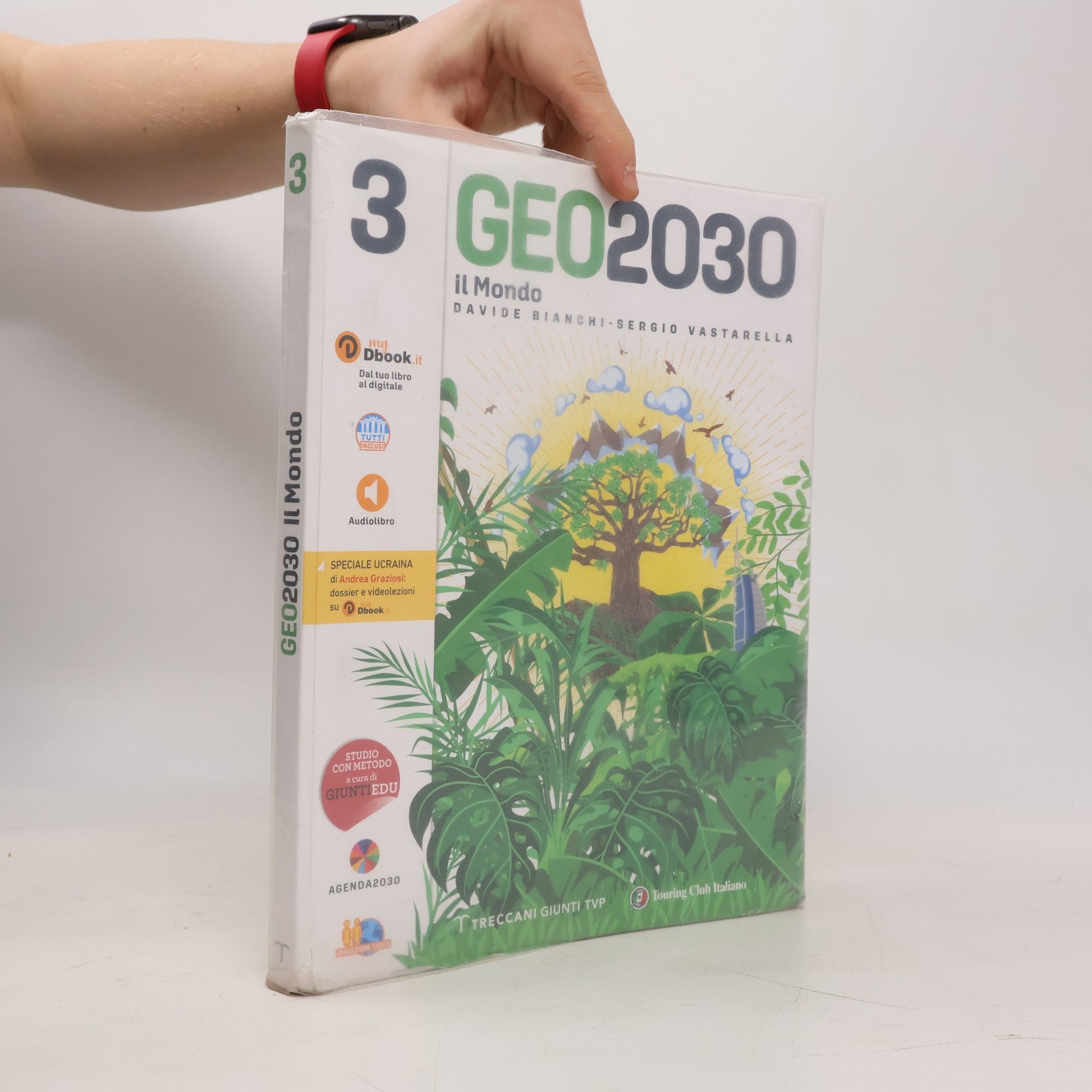 Davide Bianchi   Geo2030 3. Il Mondo