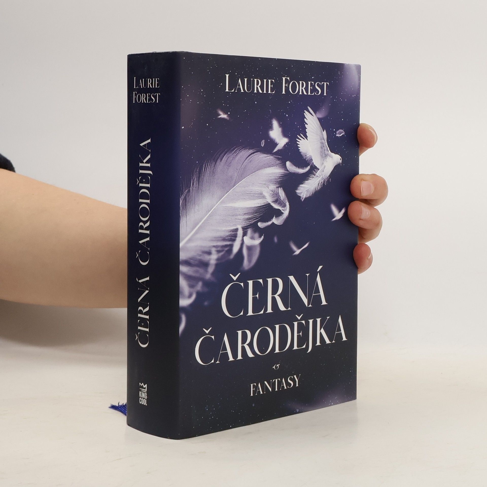 Laurie Forest Černá čarodějka