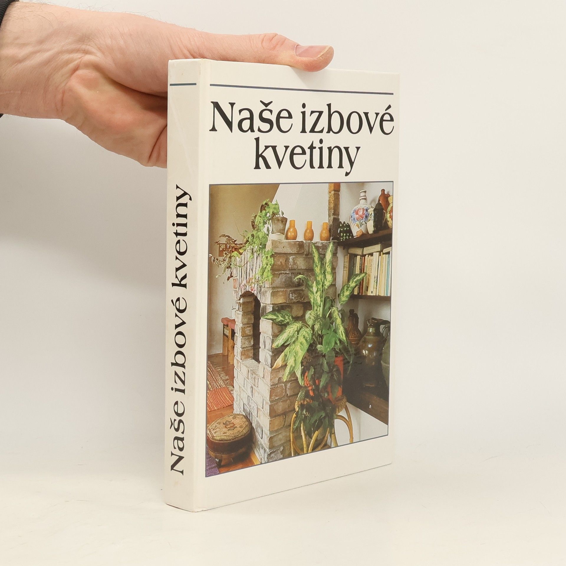 Lajos Lelkes Naše izbové kvetiny