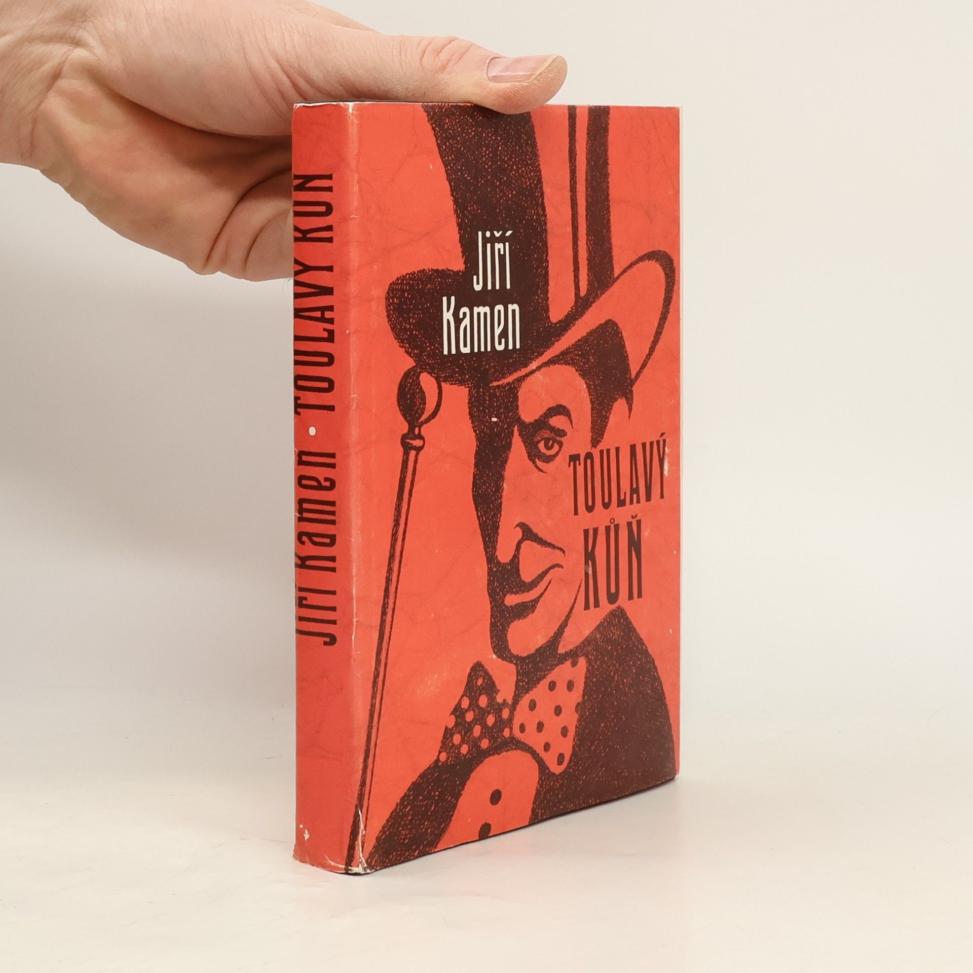 Jiří Kamen Toulavý kůň