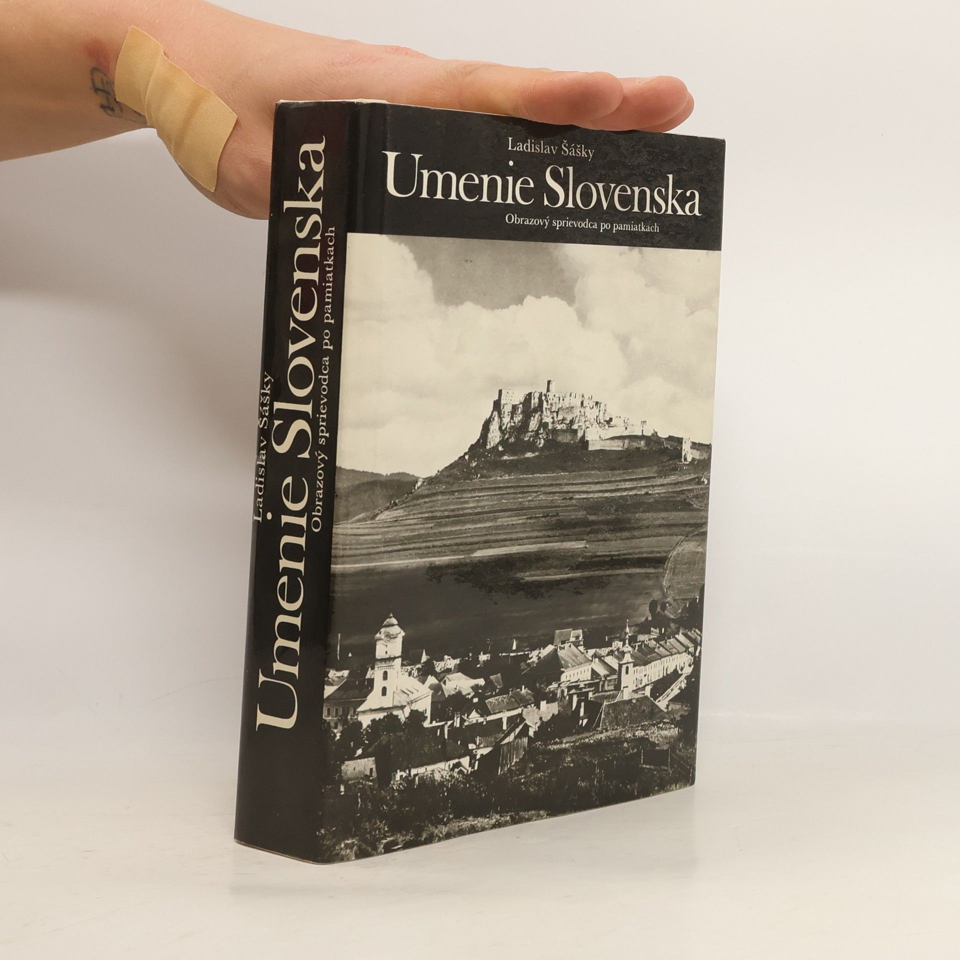 Ladislav Šášky Umenie Slovenska : obrazový sprievodca po pamiatkach