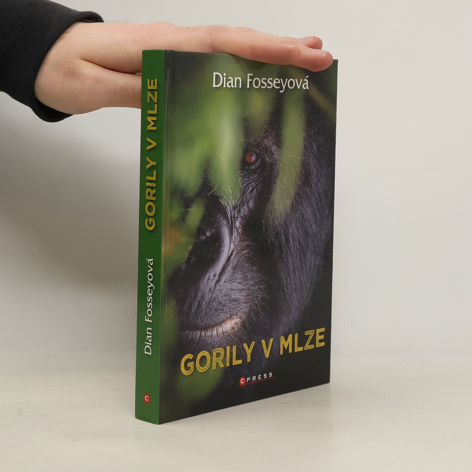 Dian Fossey Gorily v mlze