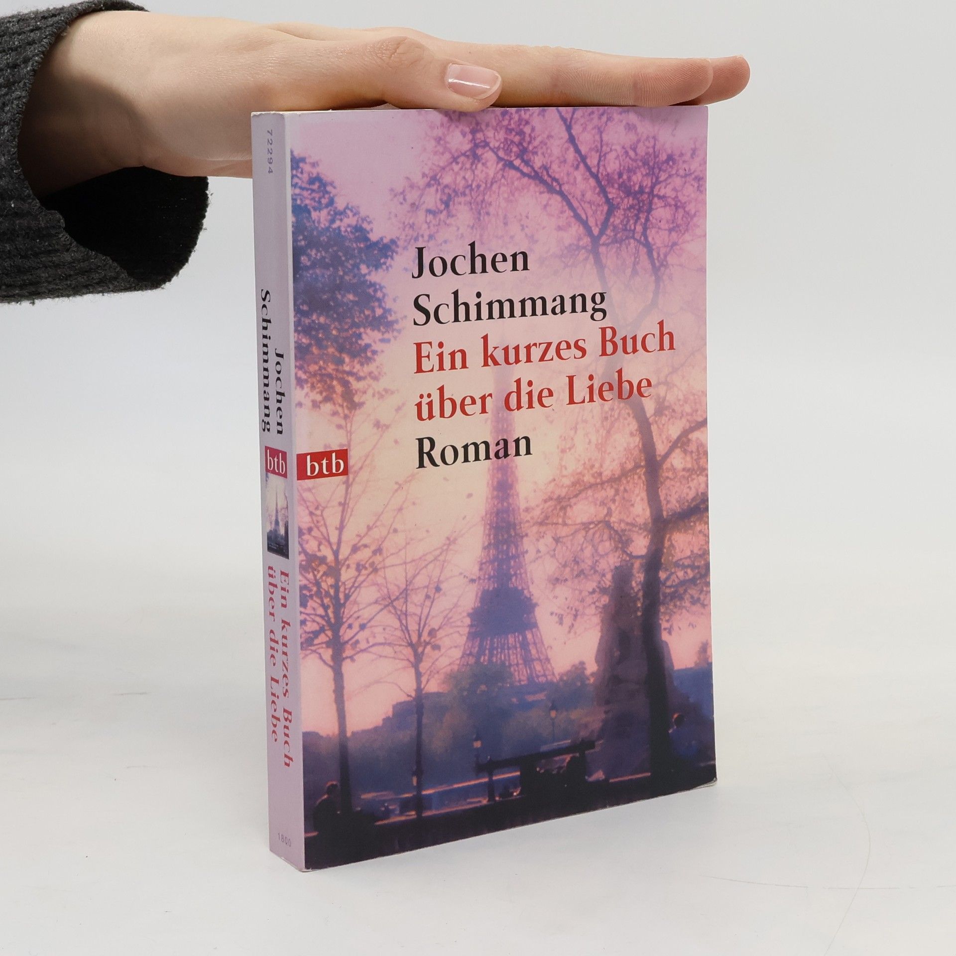 Jochen Schimmang Ein kurzes Buch über die Liebe