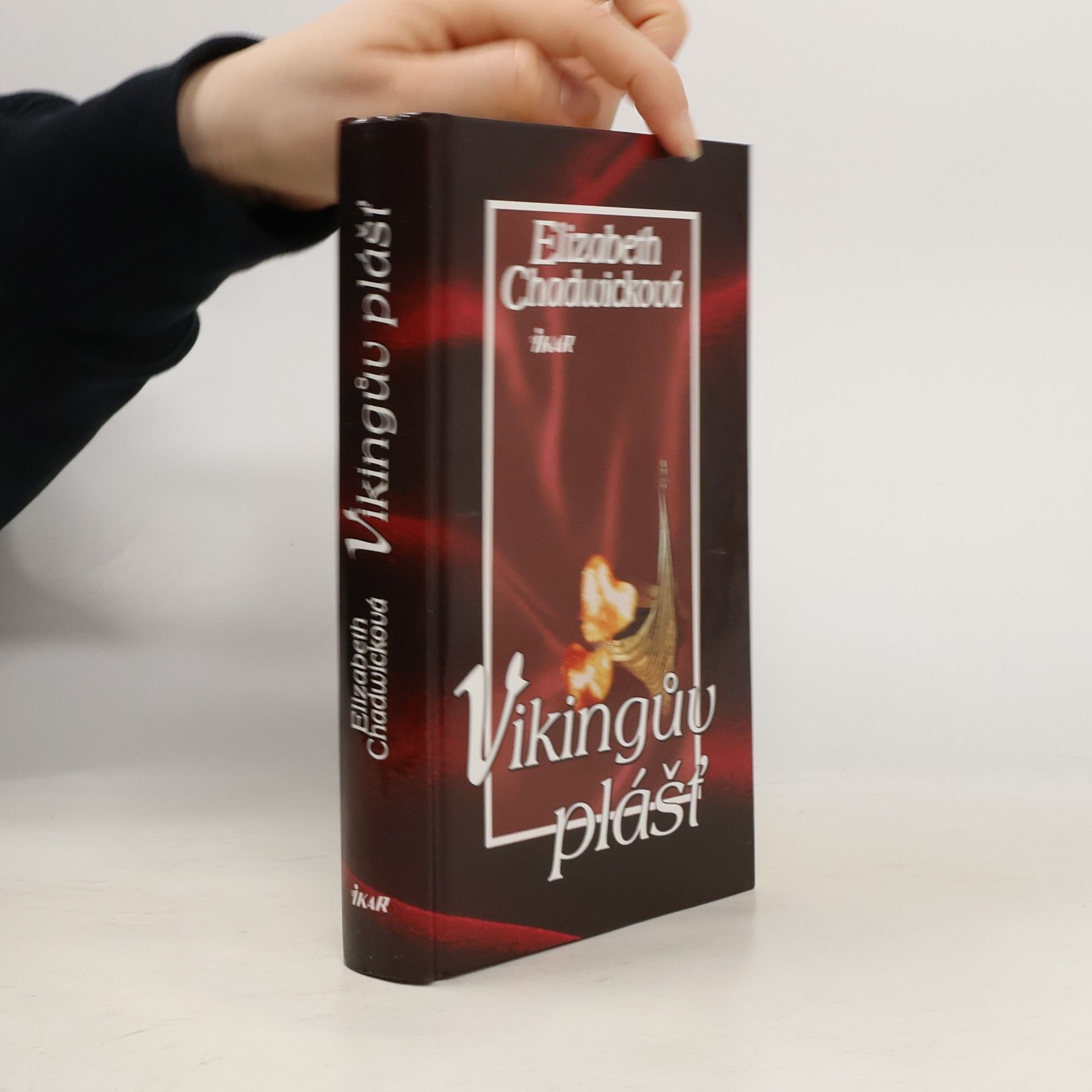 Elizabeth Chadwick Vikingův plášť