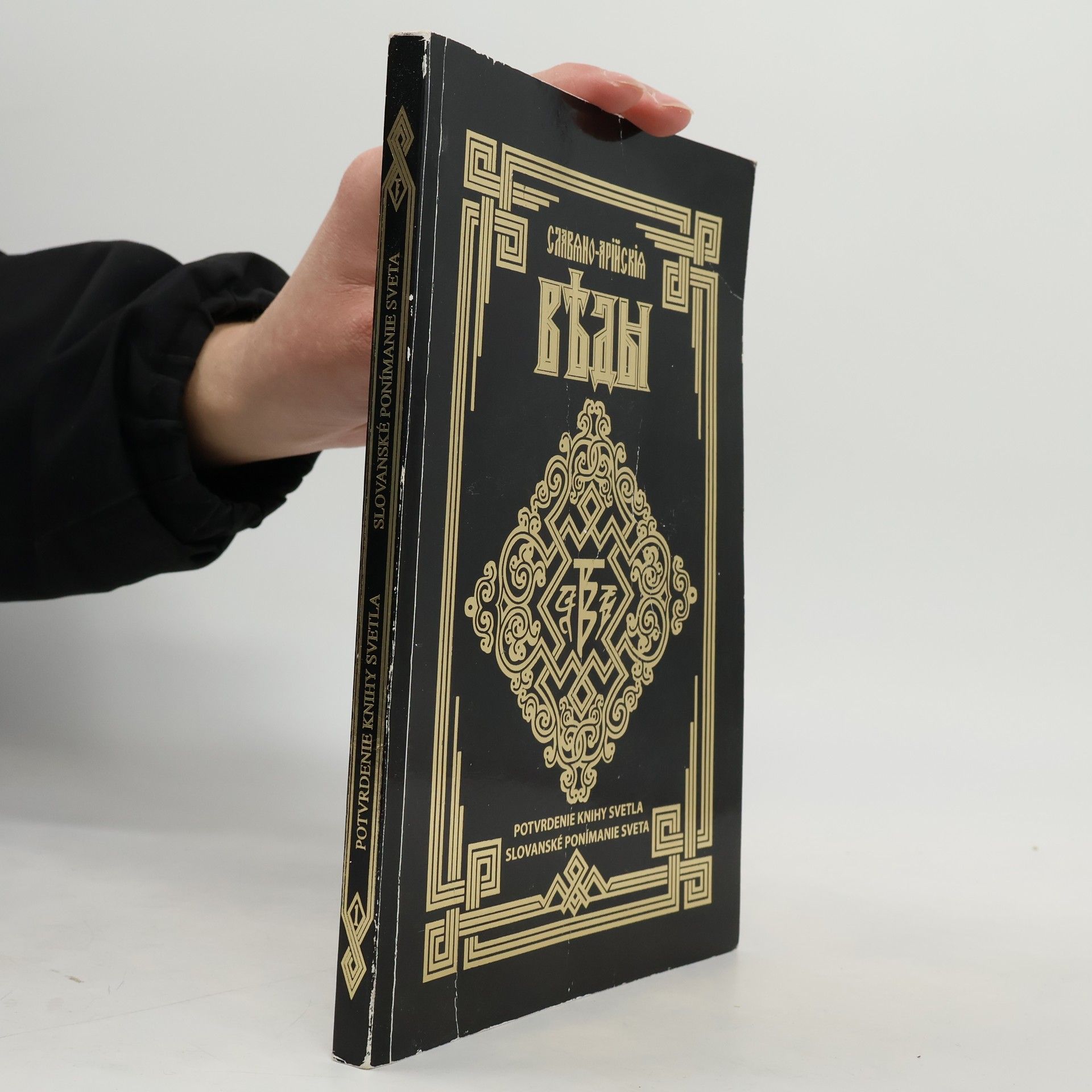 Alexandr J. Chinevič Potvrdenie Knihy Svetla / Slovanské ponímanie sveta