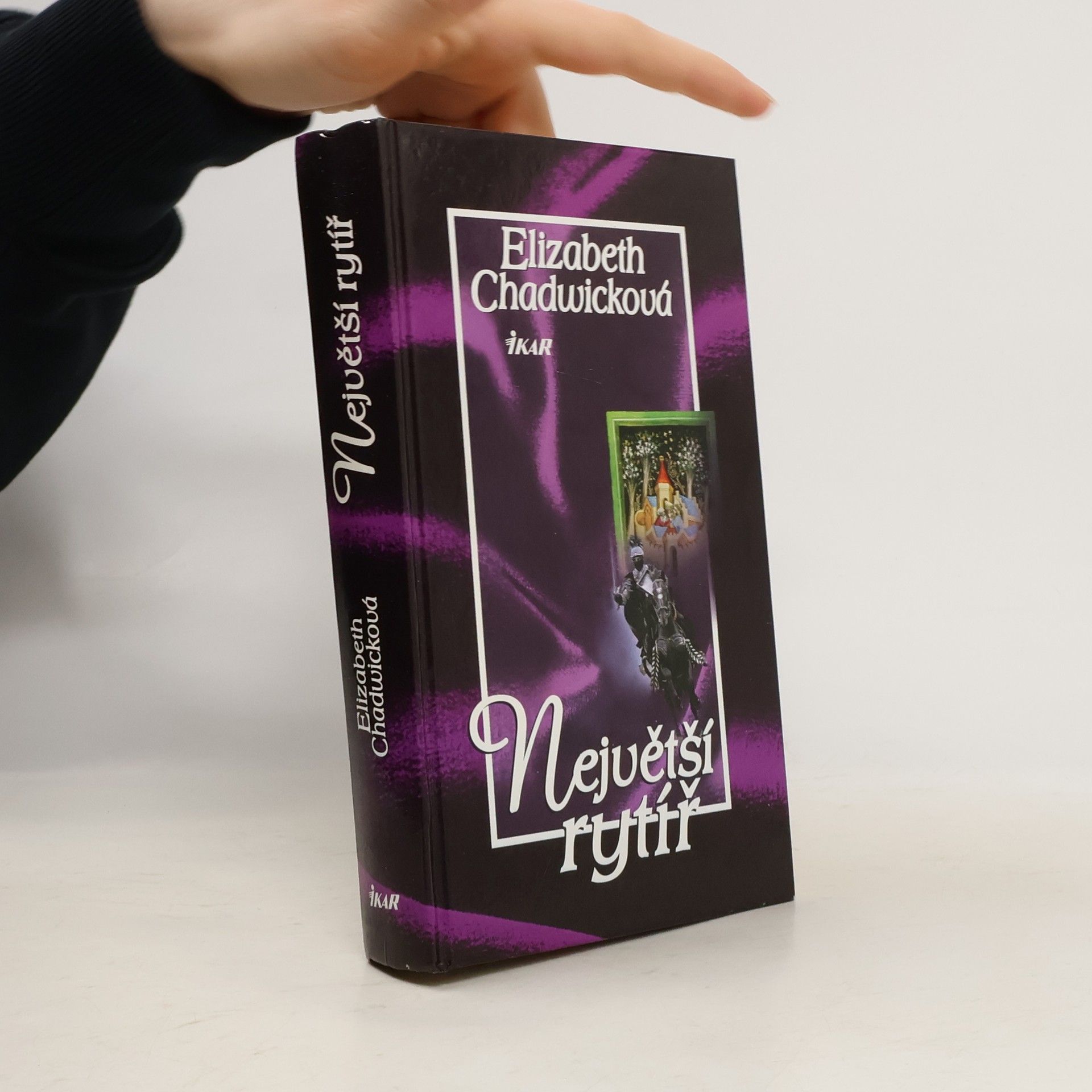 Elizabeth Chadwick Největší rytíř