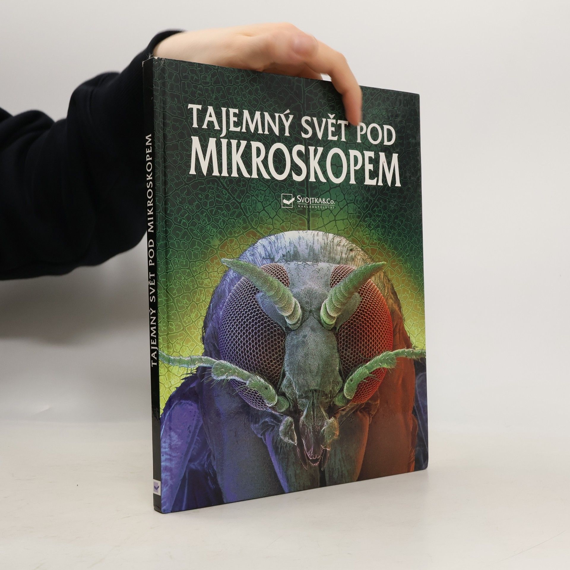 Kirsteen Rogers Tajemný svět pod mikroskopem