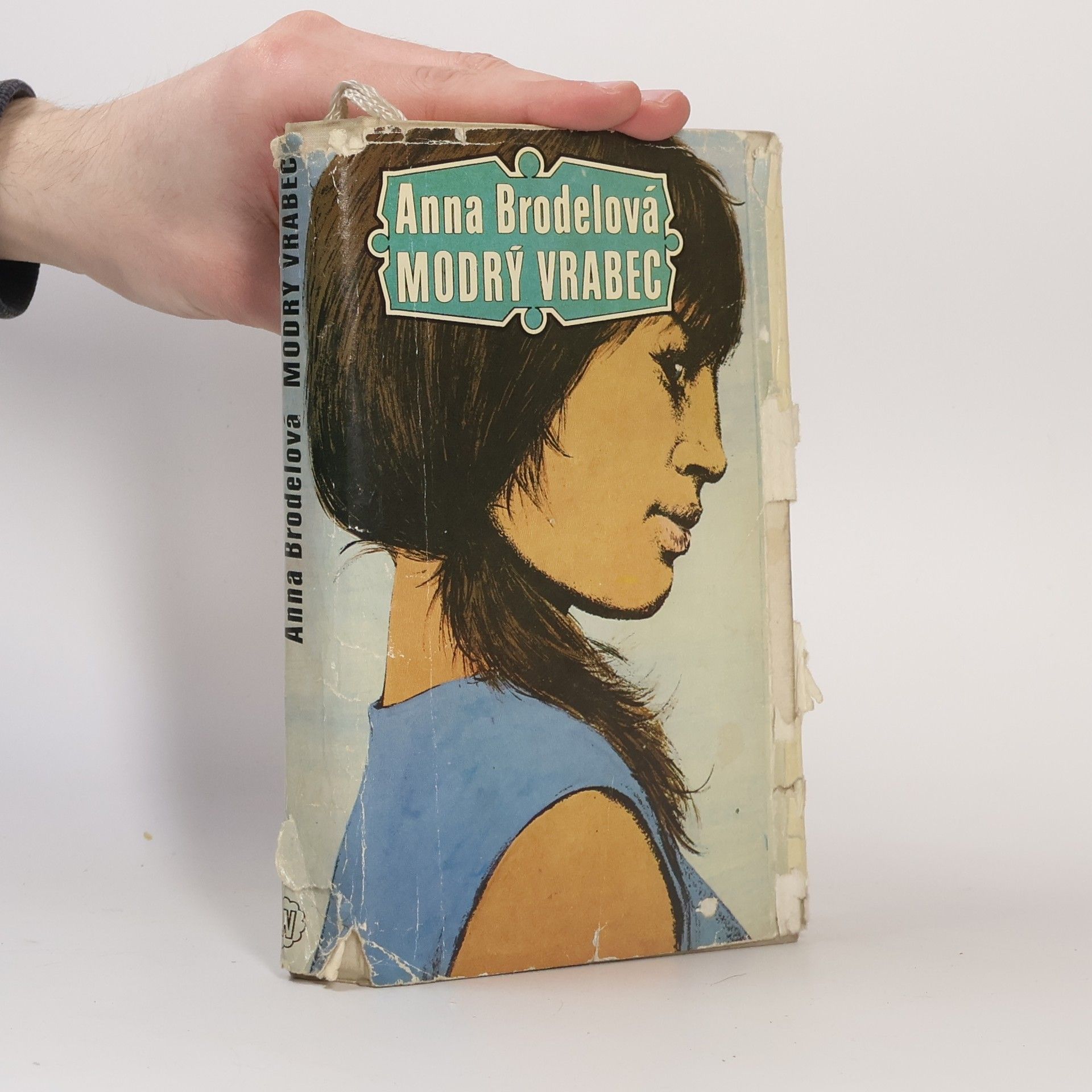 Anna Brodele Modrý vrabec