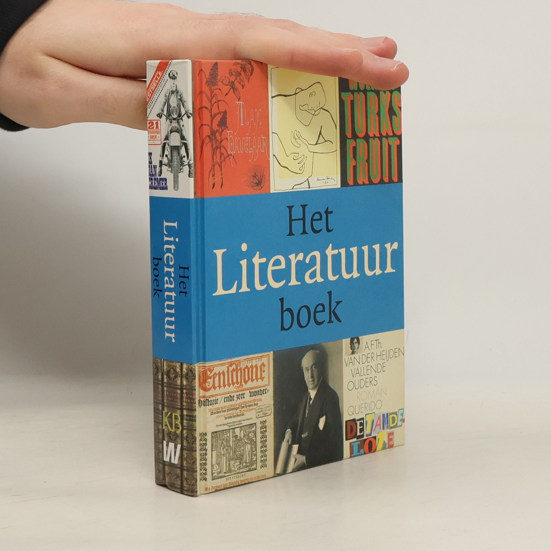 Reinder Storms Het Literatuurboek