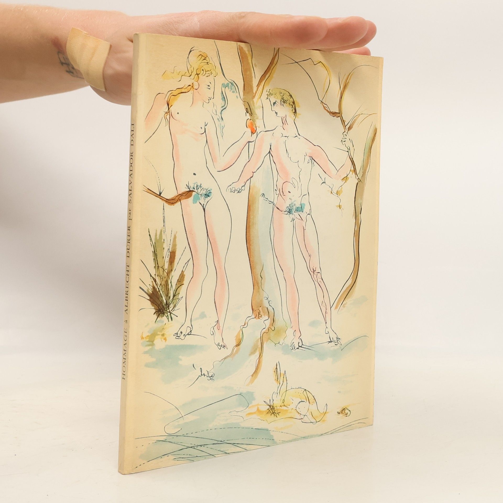 Salvador Dalí Hommage à Albrecht Dürer