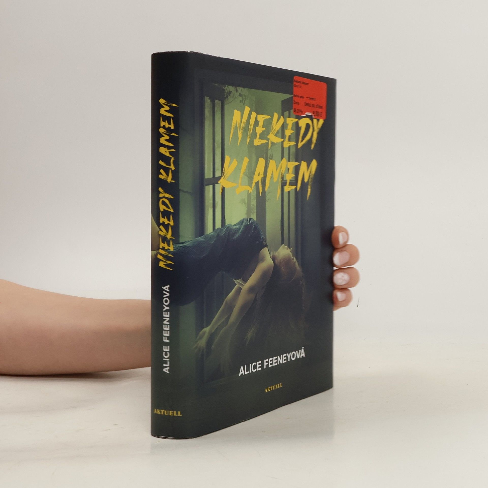 Alice Feeney Niekedy klamem