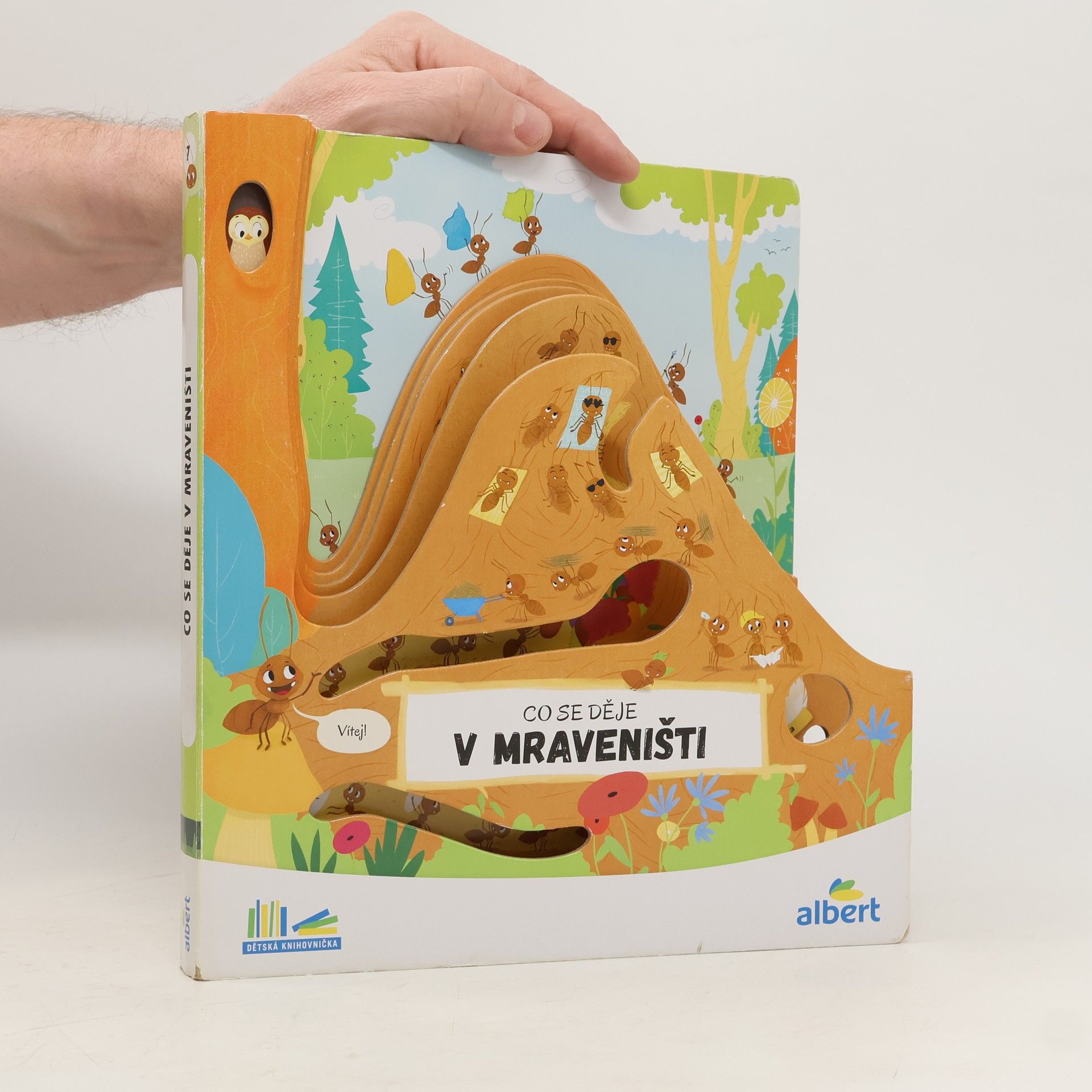 Kolektiv autorů Co se děje v mraveništi