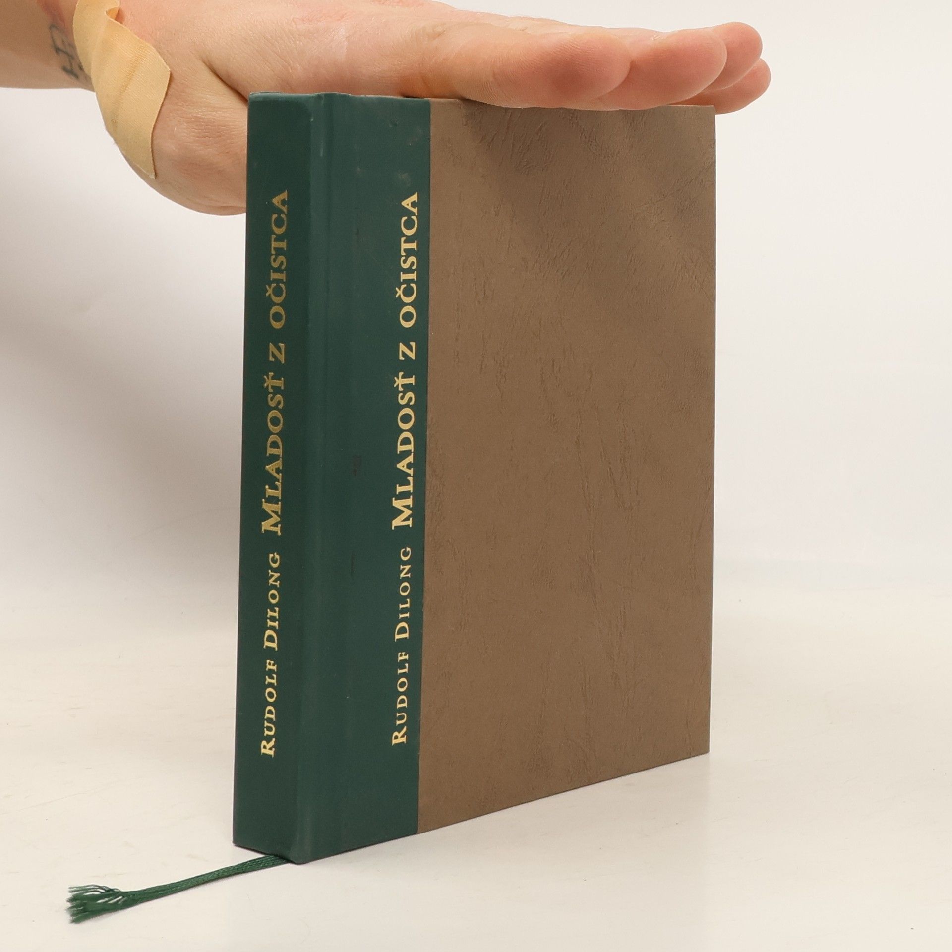 Rudolf Dilong Mladosť z očistca