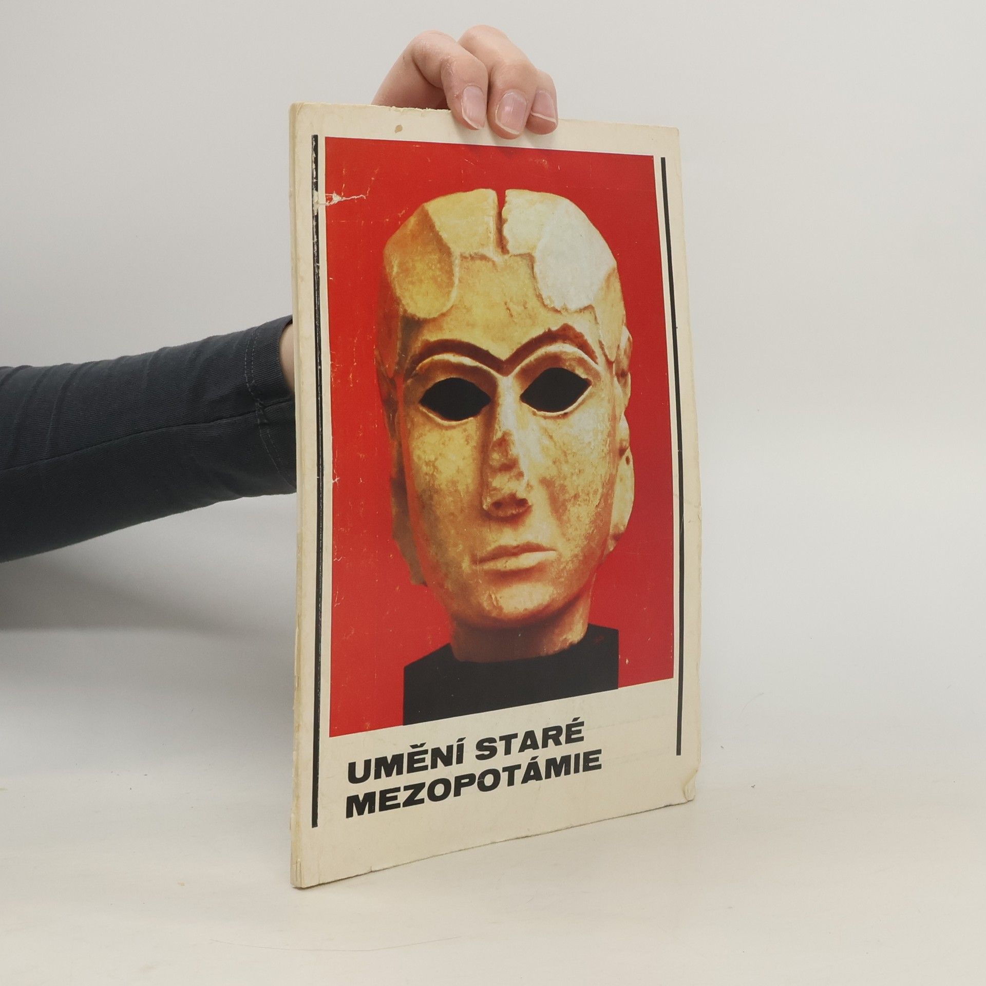 Lubor Hájek Umění staré Mezopotámie