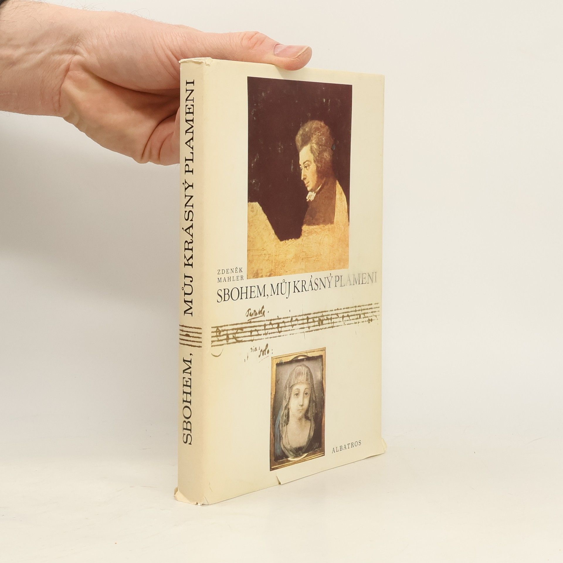 Zdeněk Mahler Sbohem, můj krásný plameni