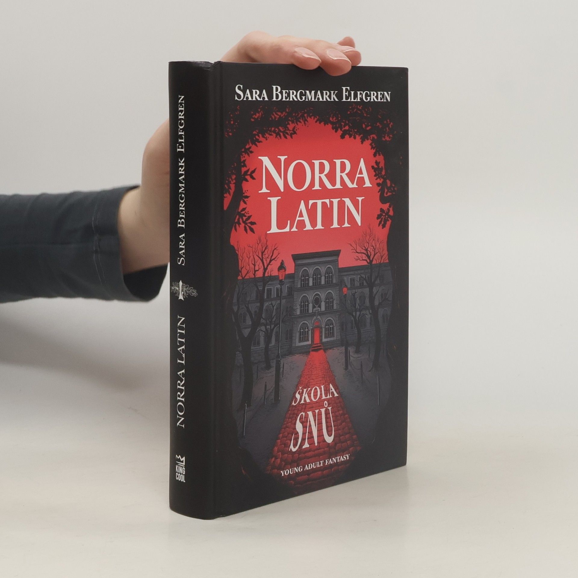 Norra Latin. Škola snů