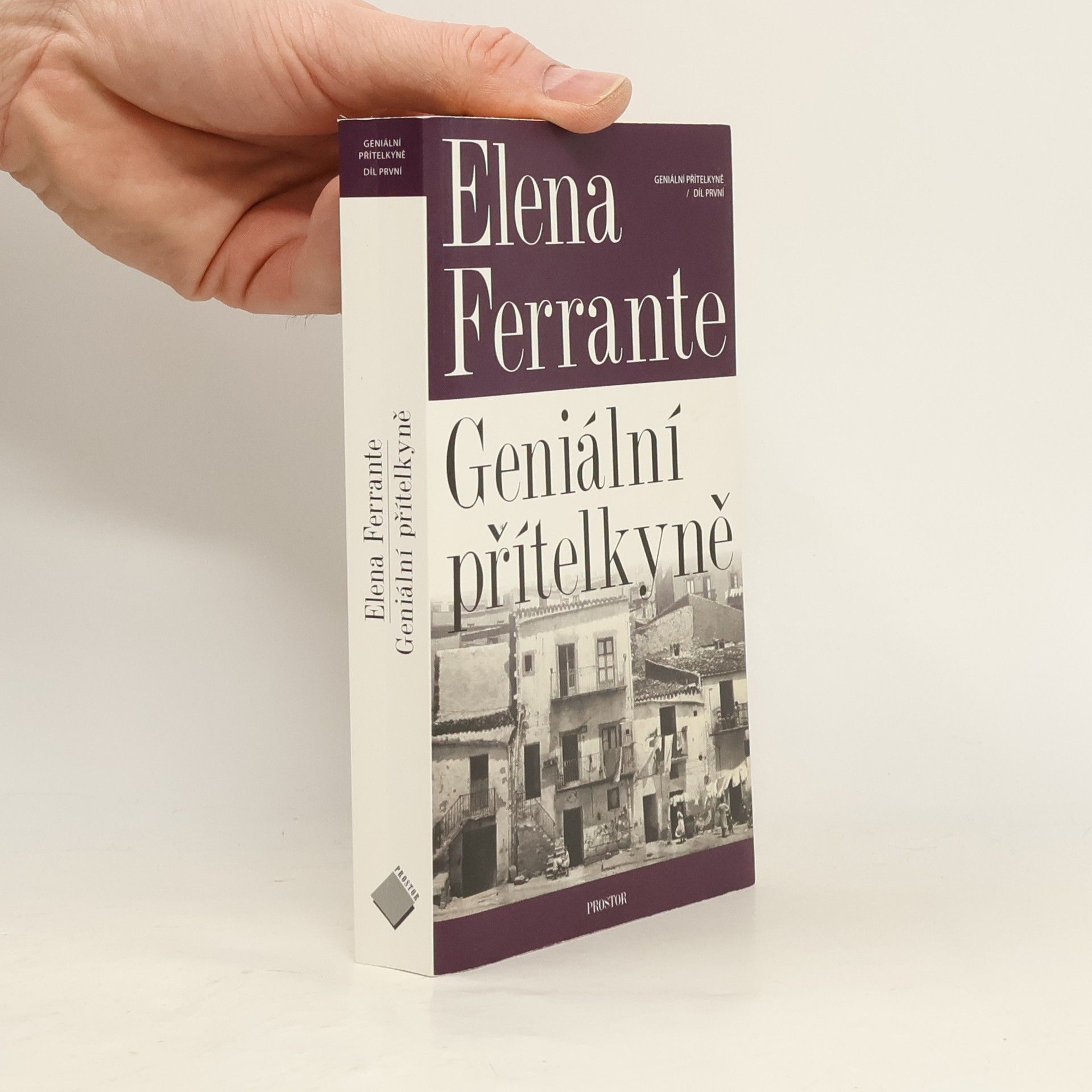 Elena Ferrante Geniální přítelkyně 1. Dětství a dospívání