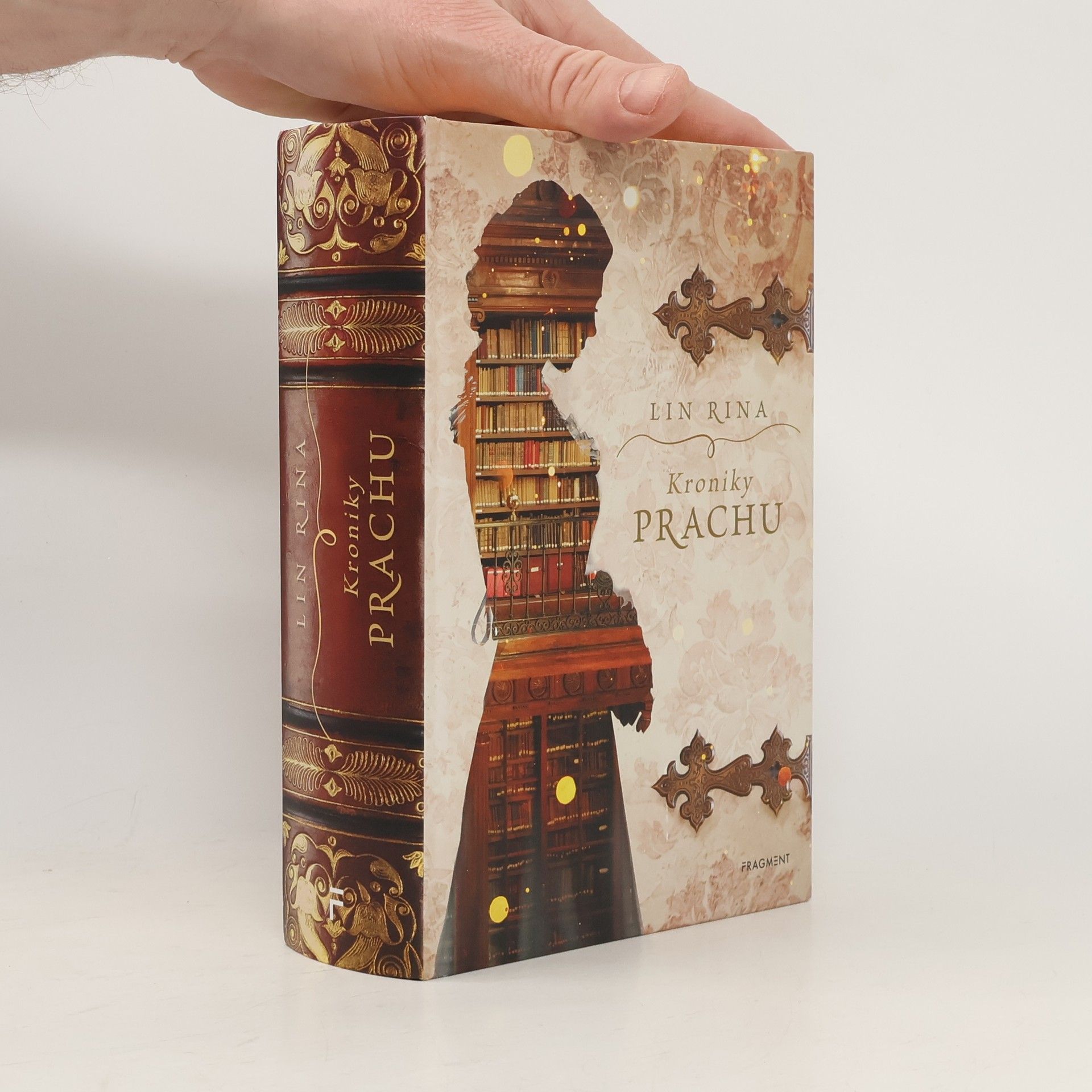 Lin Rina Kroniky prachu