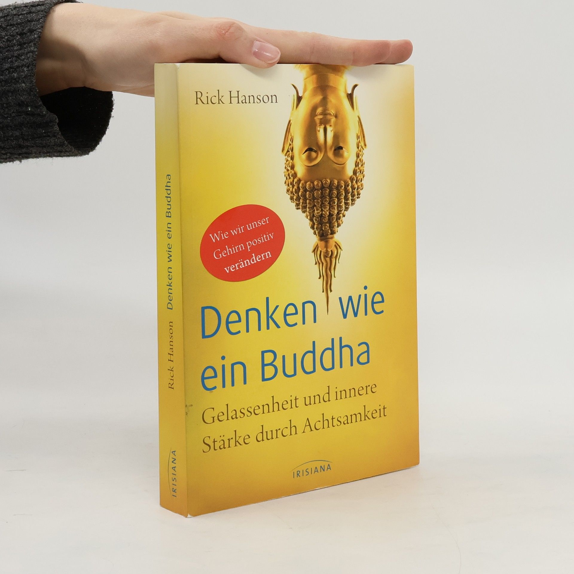Rick hanson Denken wie ein Buddha