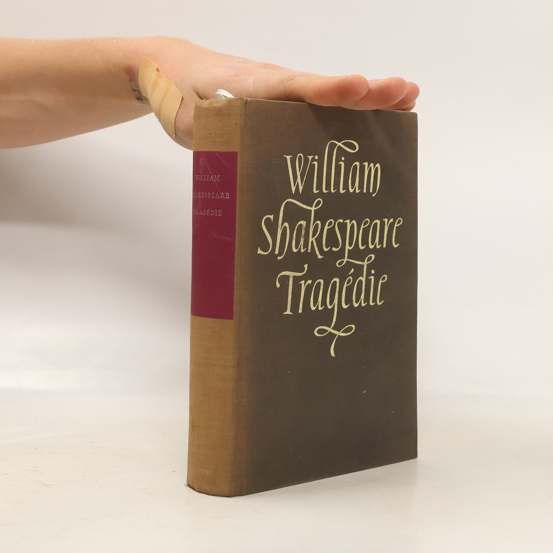 William Shakespeare Tragédie