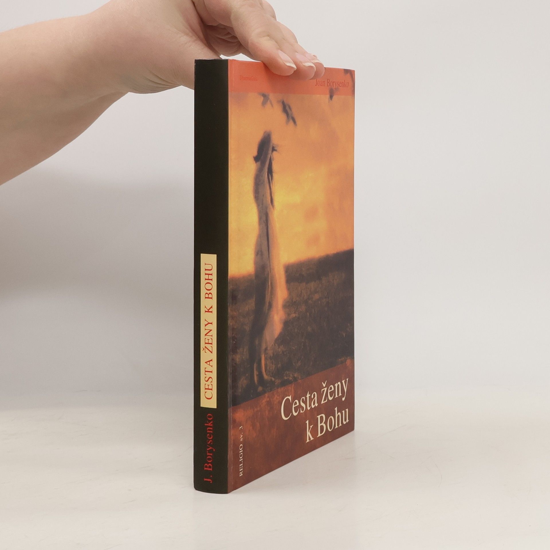 Joan Borysenko Cesta ženy k Bohu