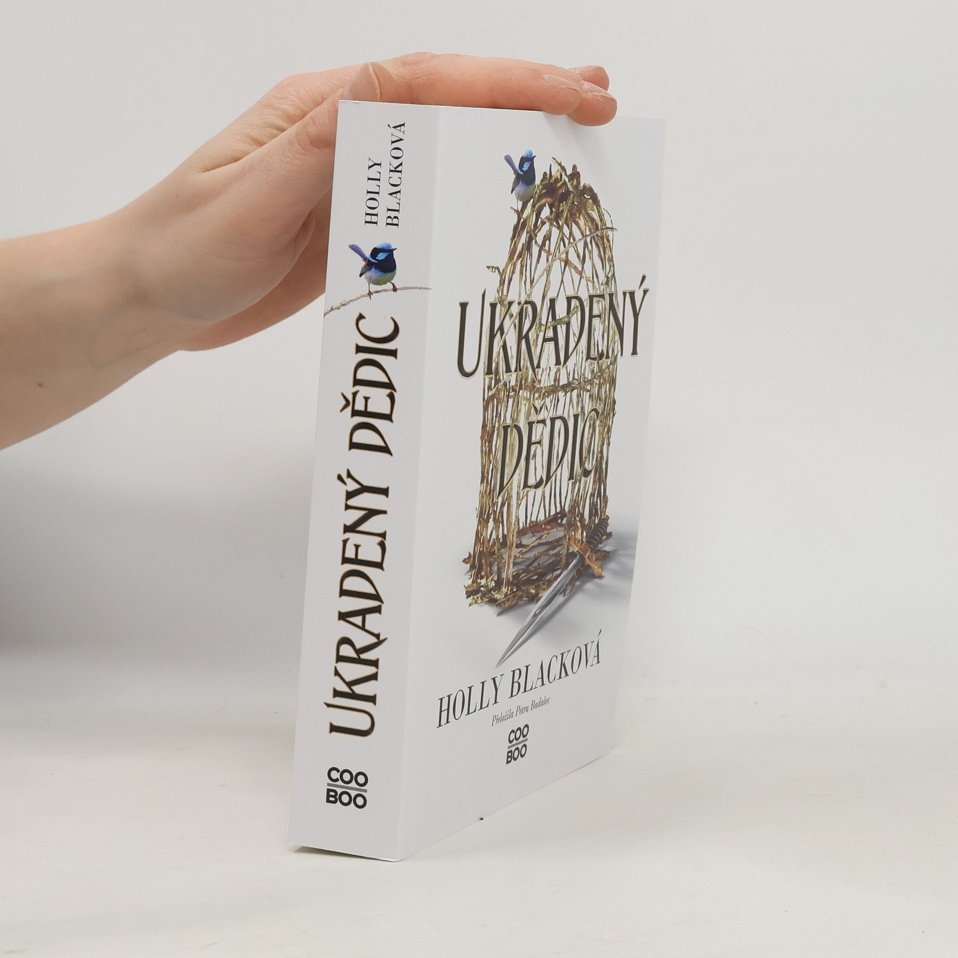 Holly Black Ukradený dědic