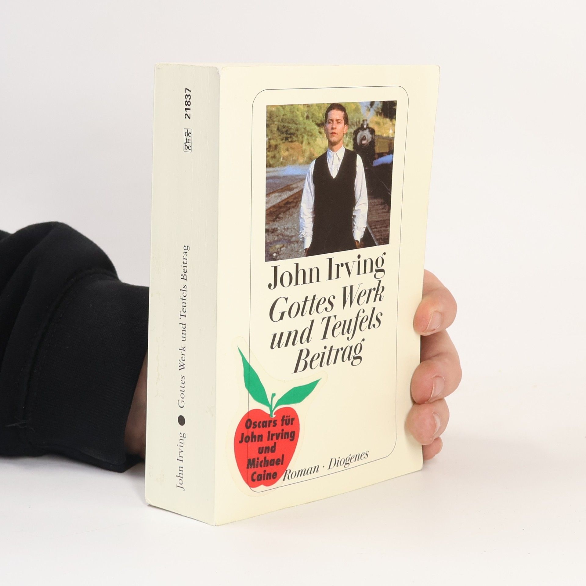 John Irving Gottes Werk und Teufels Beitrag