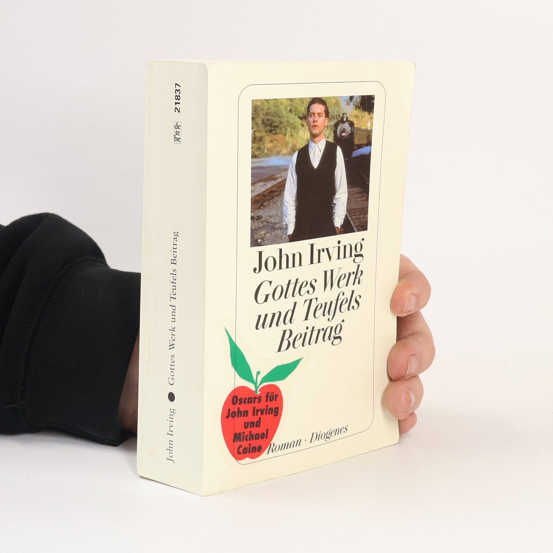 John Irving Gottes Werk und Teufels Beitrag