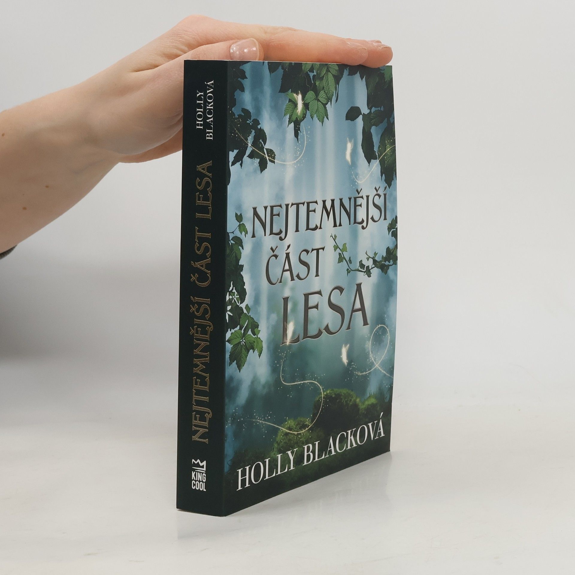 Holly Black Nejtemnější část lesa