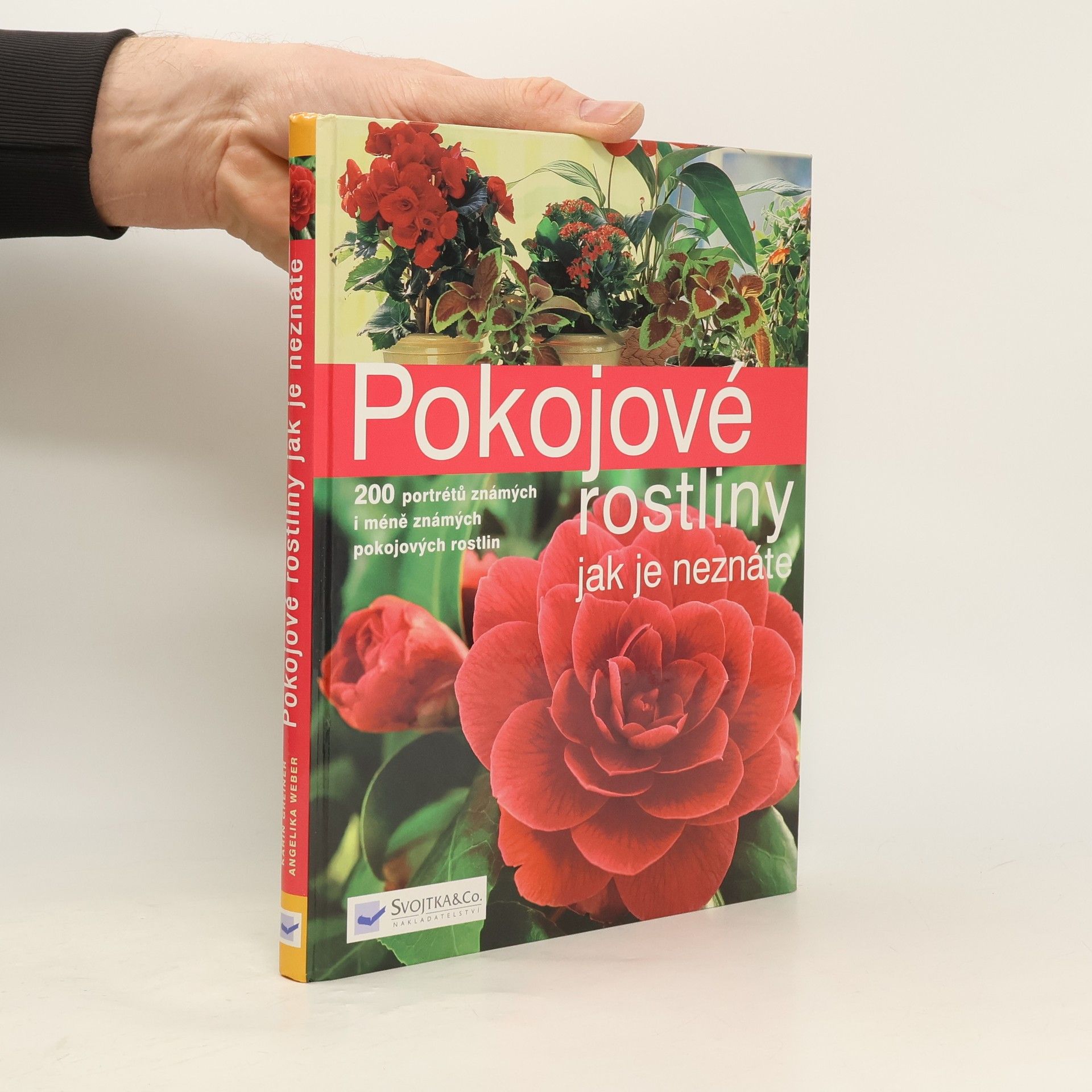 Pokojové rostliny jak je neznáte