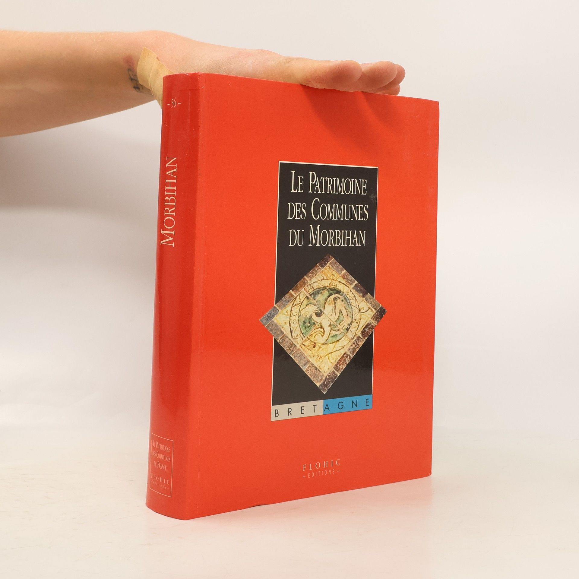 Michele Bourret Le patrimoine des communes de France: Le patrimoine des communes du Morbihan